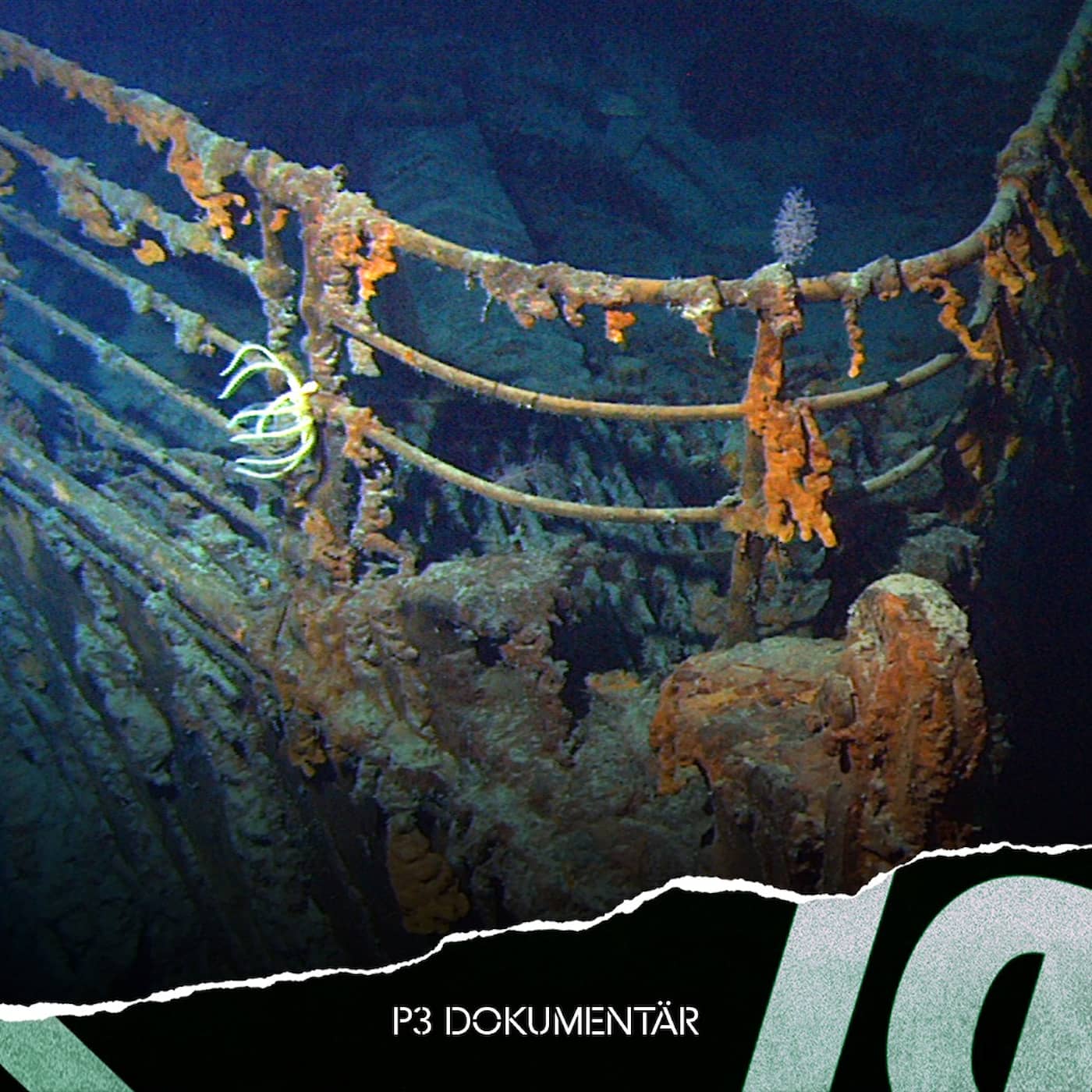 Ny: Titanic – det osänkbara skeppet artwork