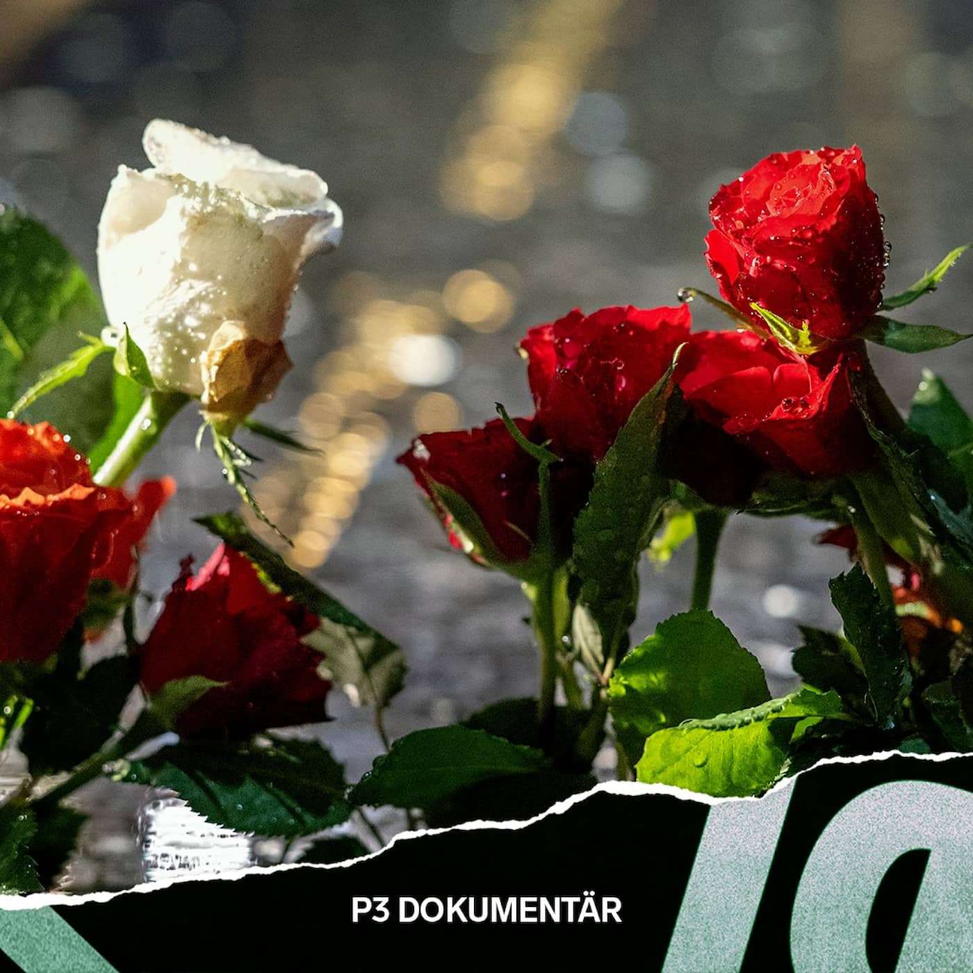Diskoteksbranden i Göteborg artwork