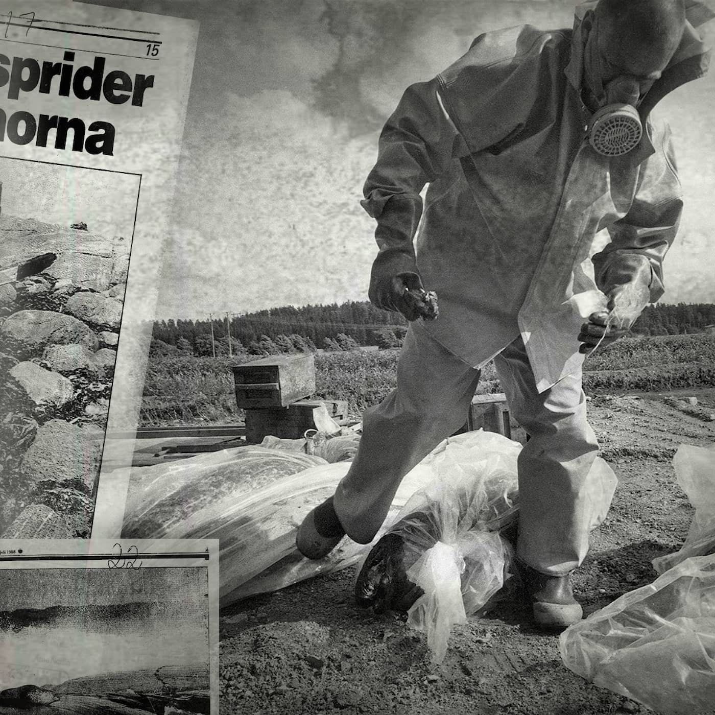 Säldöden artwork