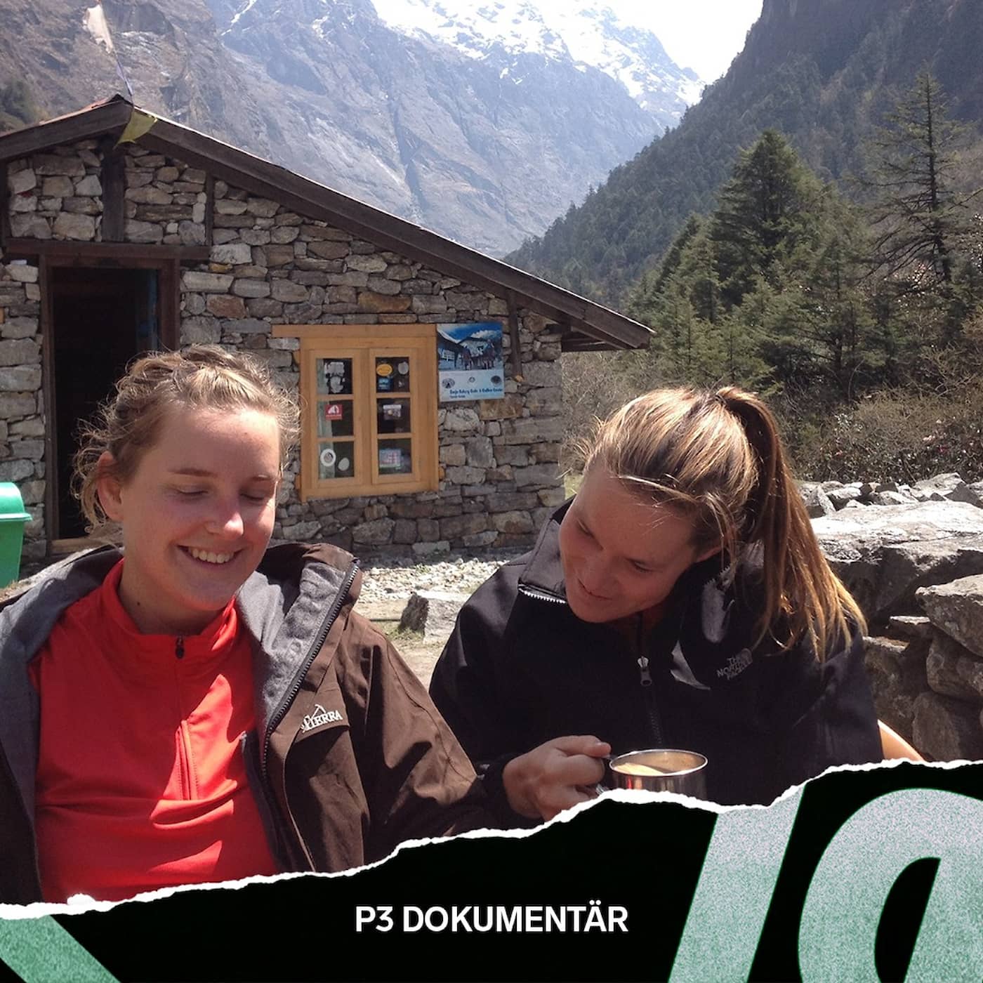 Ny: Jordbävningen i Himalaya – backpackerparadiset och katastrofen artwork