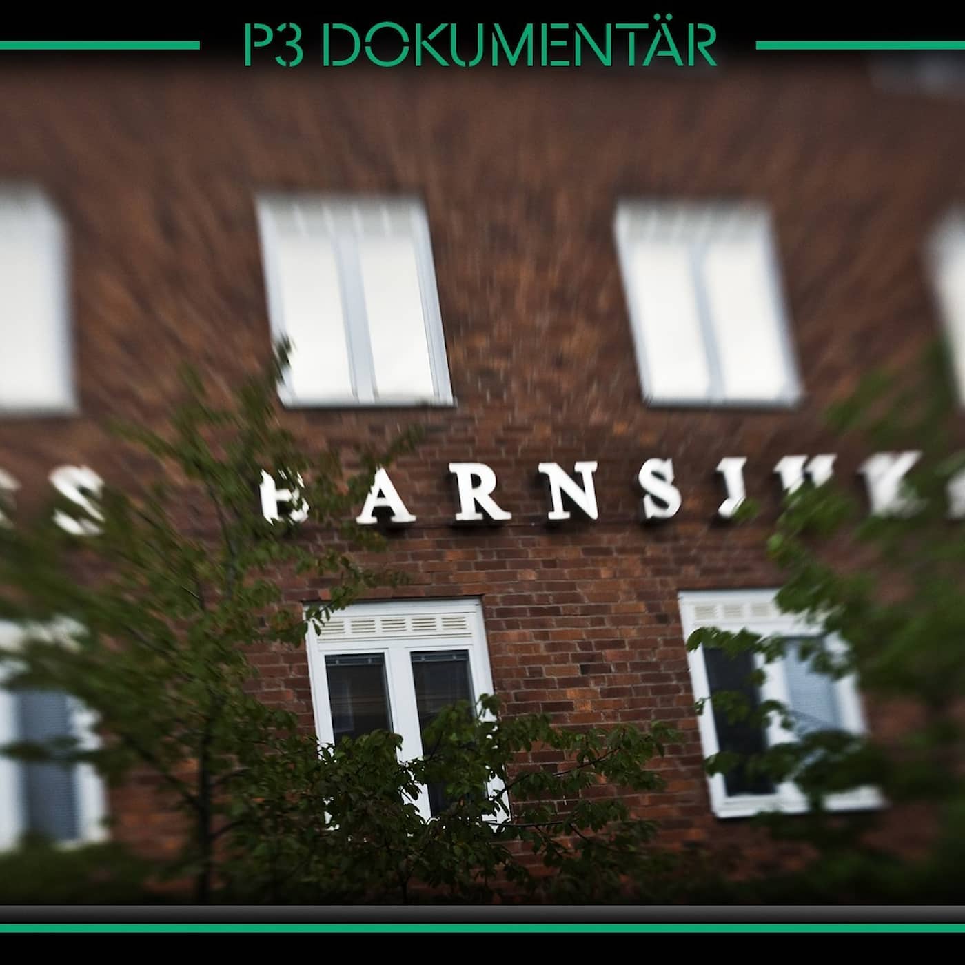 Dråpmisstänkta läkaren på Astrid Lindgrens barnsjukhus artwork