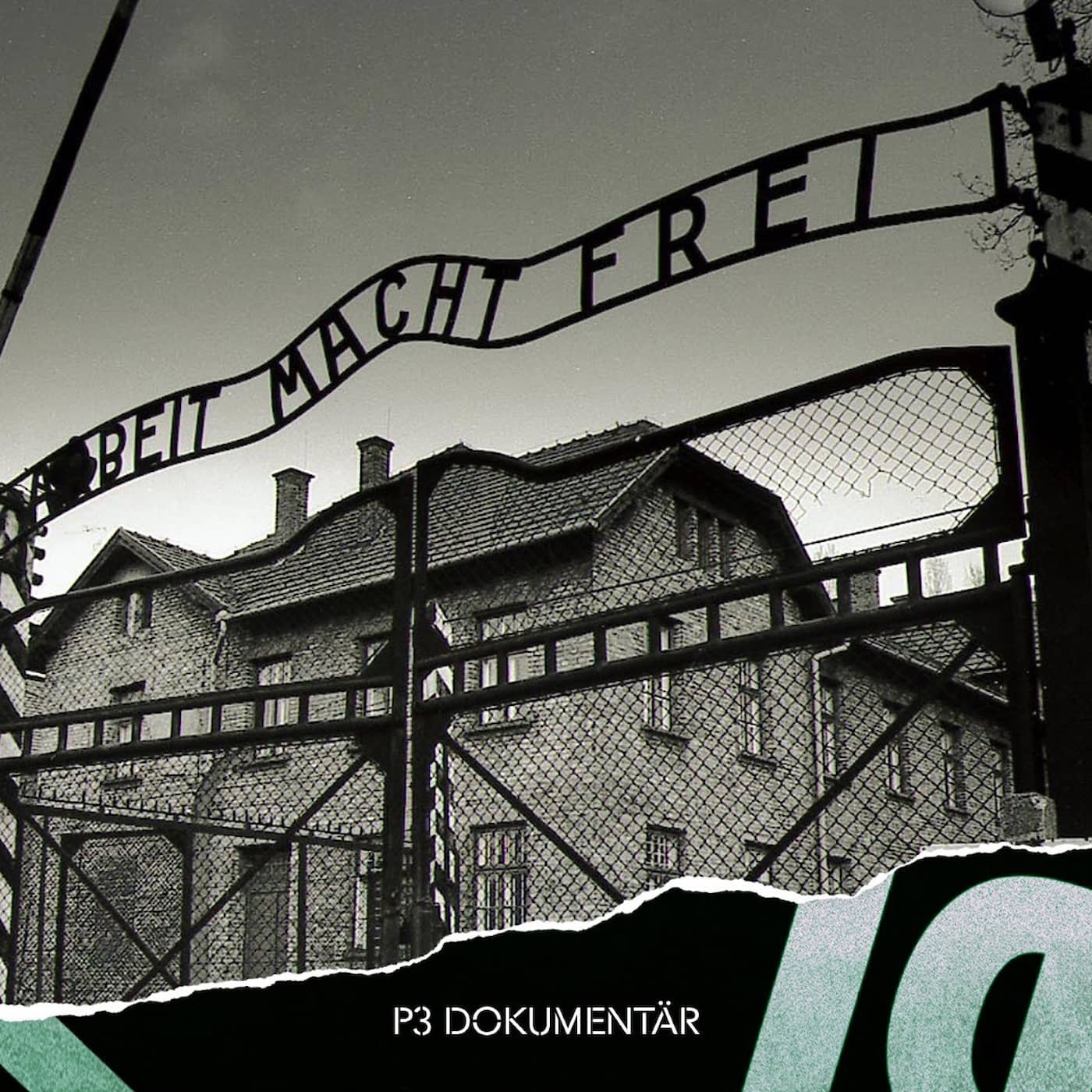 Skyltstölden i Auschwitz artwork