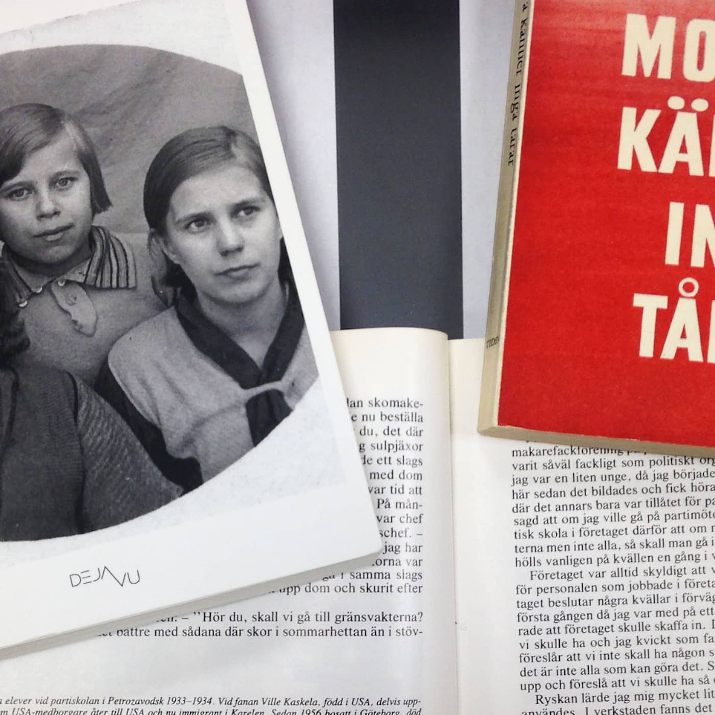 Kirunasvenskarna – drömmen om Stalins Sovjet artwork
