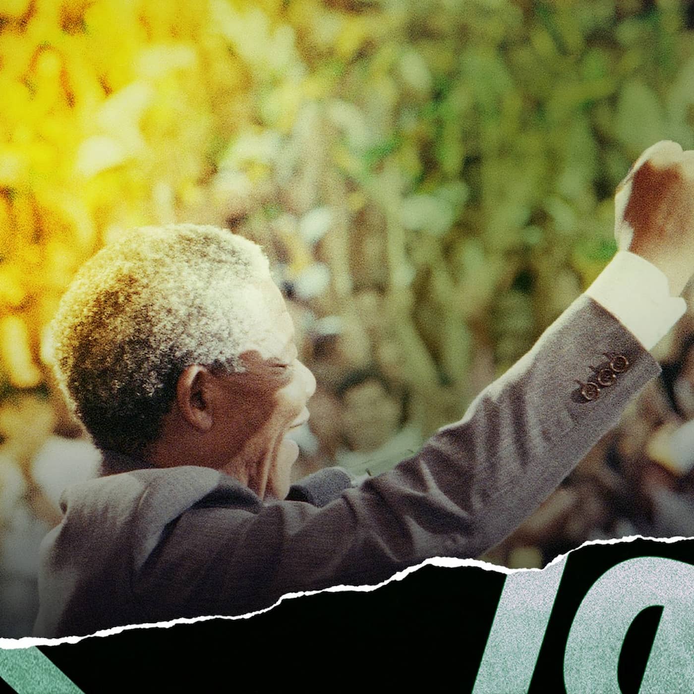 Nelson Mandela och kampen mot apartheid artwork