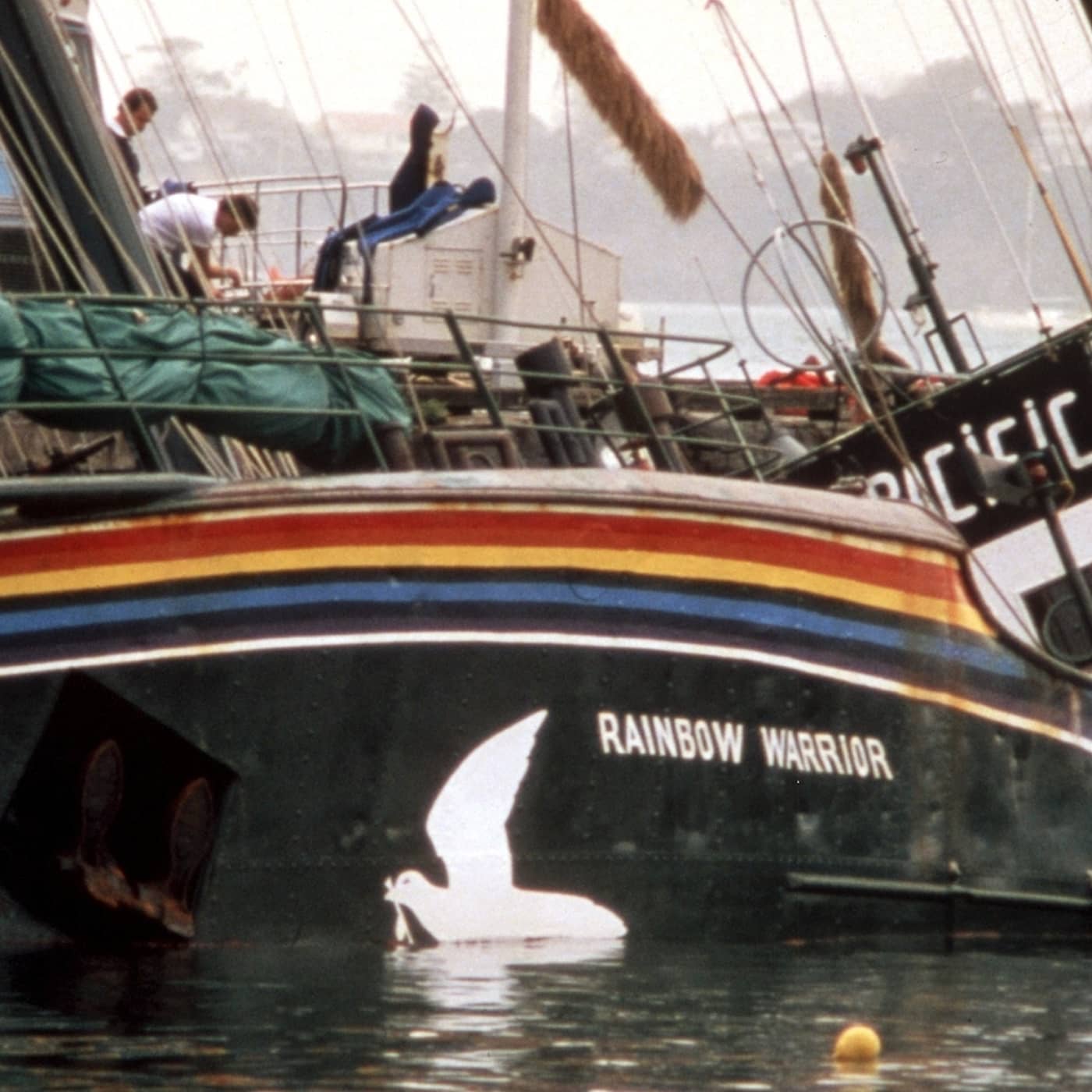 Sprängningen av Rainbow Warrior artwork