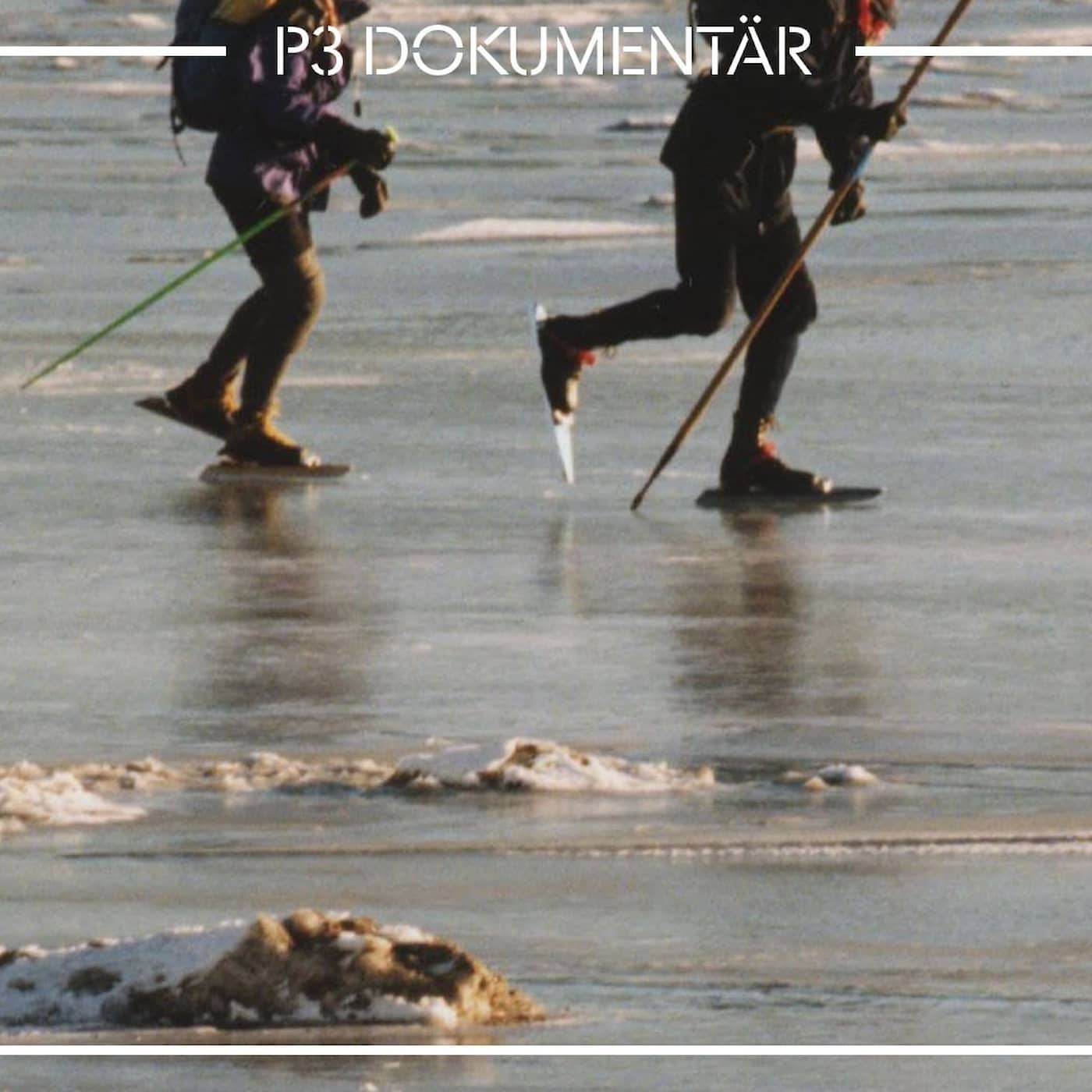Dödsolyckan på Mälarisen artwork