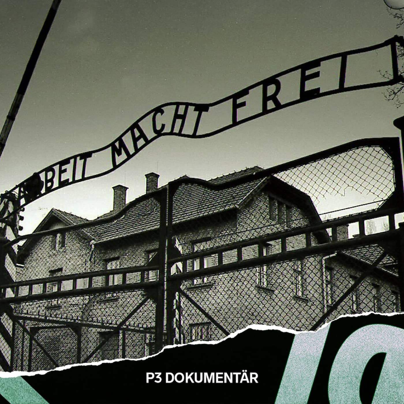 Skyltstölden i Auschwitz artwork