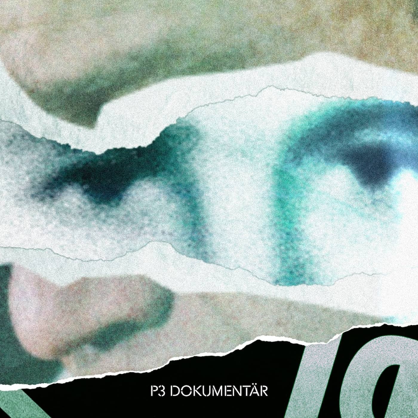 Palmeutredningen inifrån del 7/7: Den sista intervjun artwork