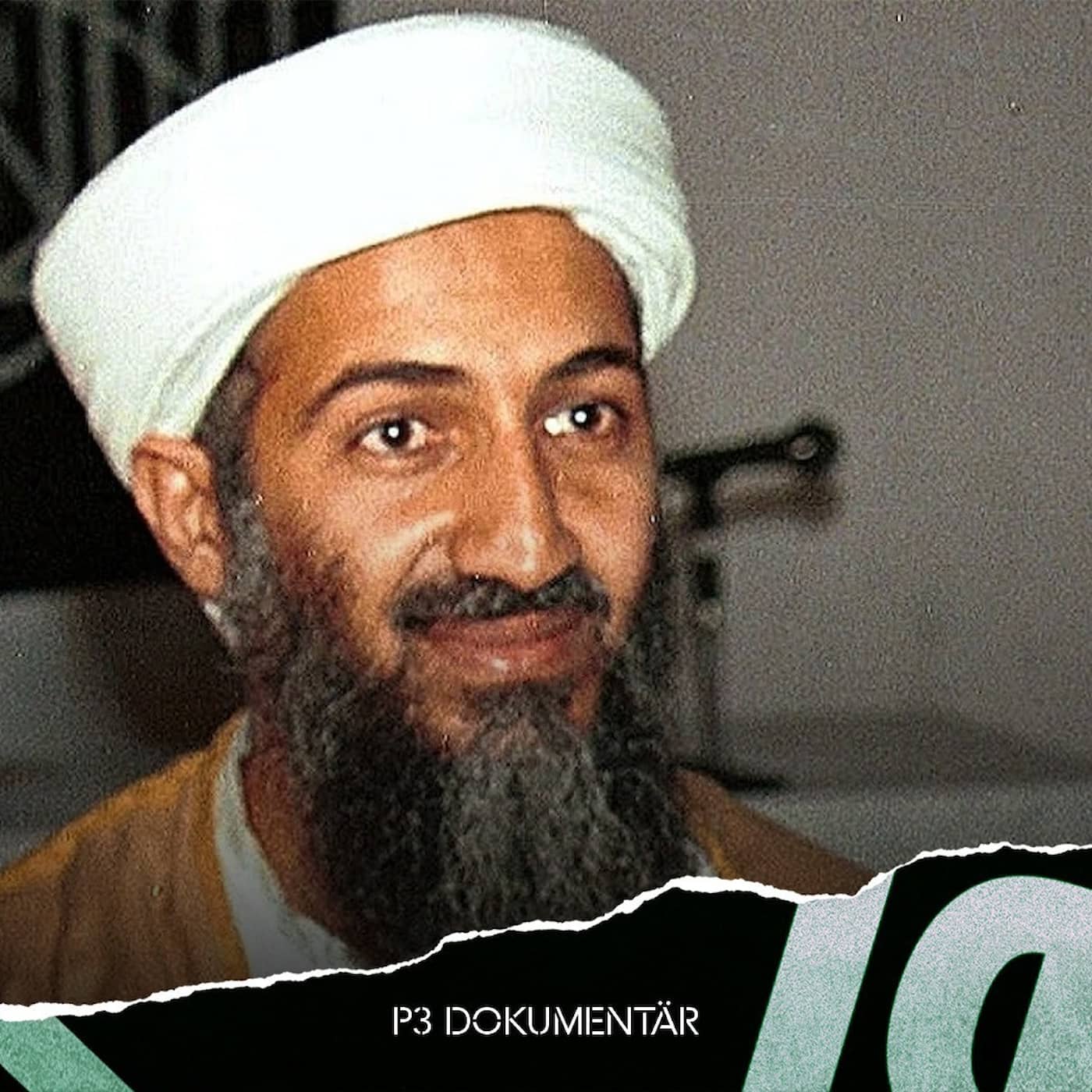 Jakten på Usama bin Ladin artwork