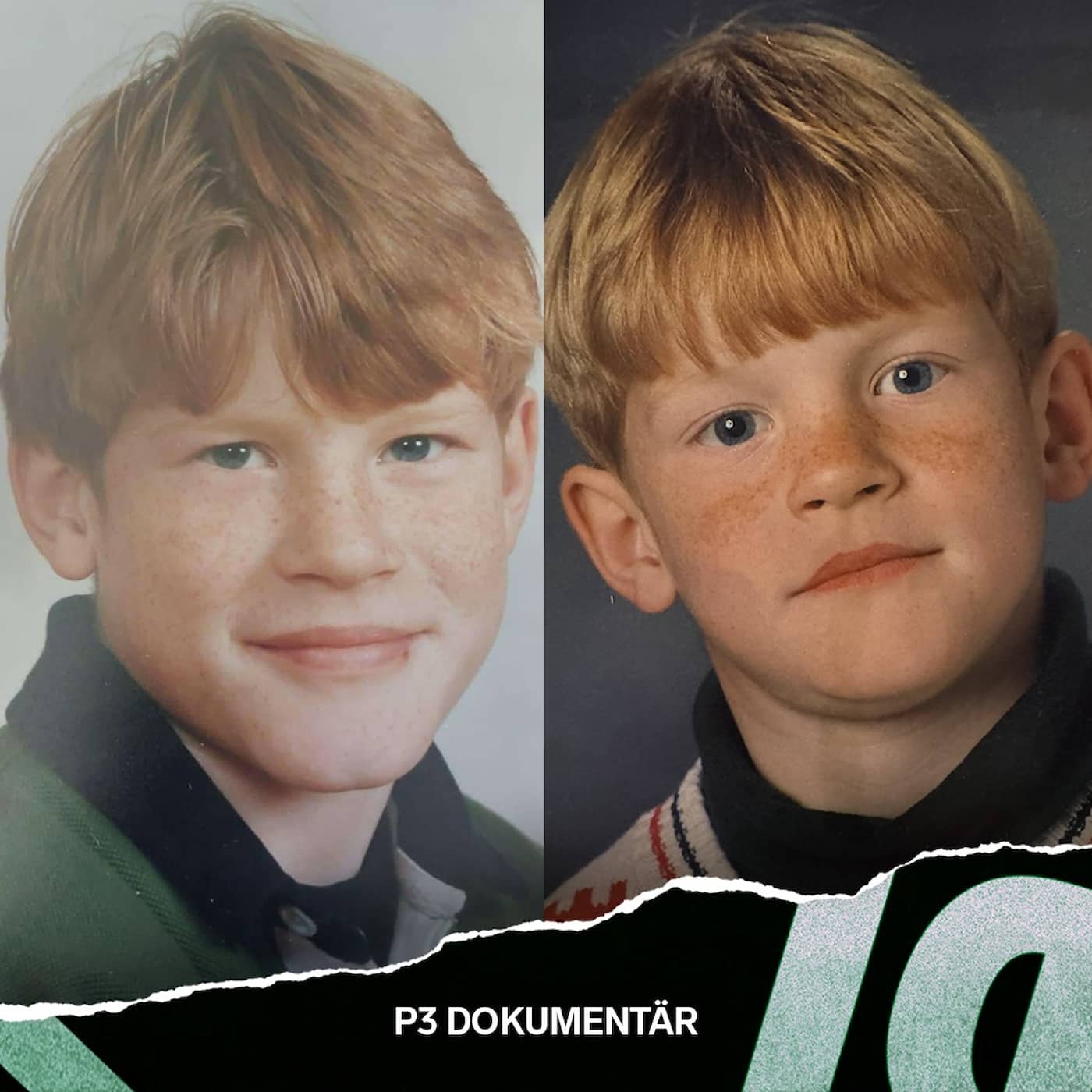 Ny: Särskoleskandalen och fallet Robin och Rasmus artwork