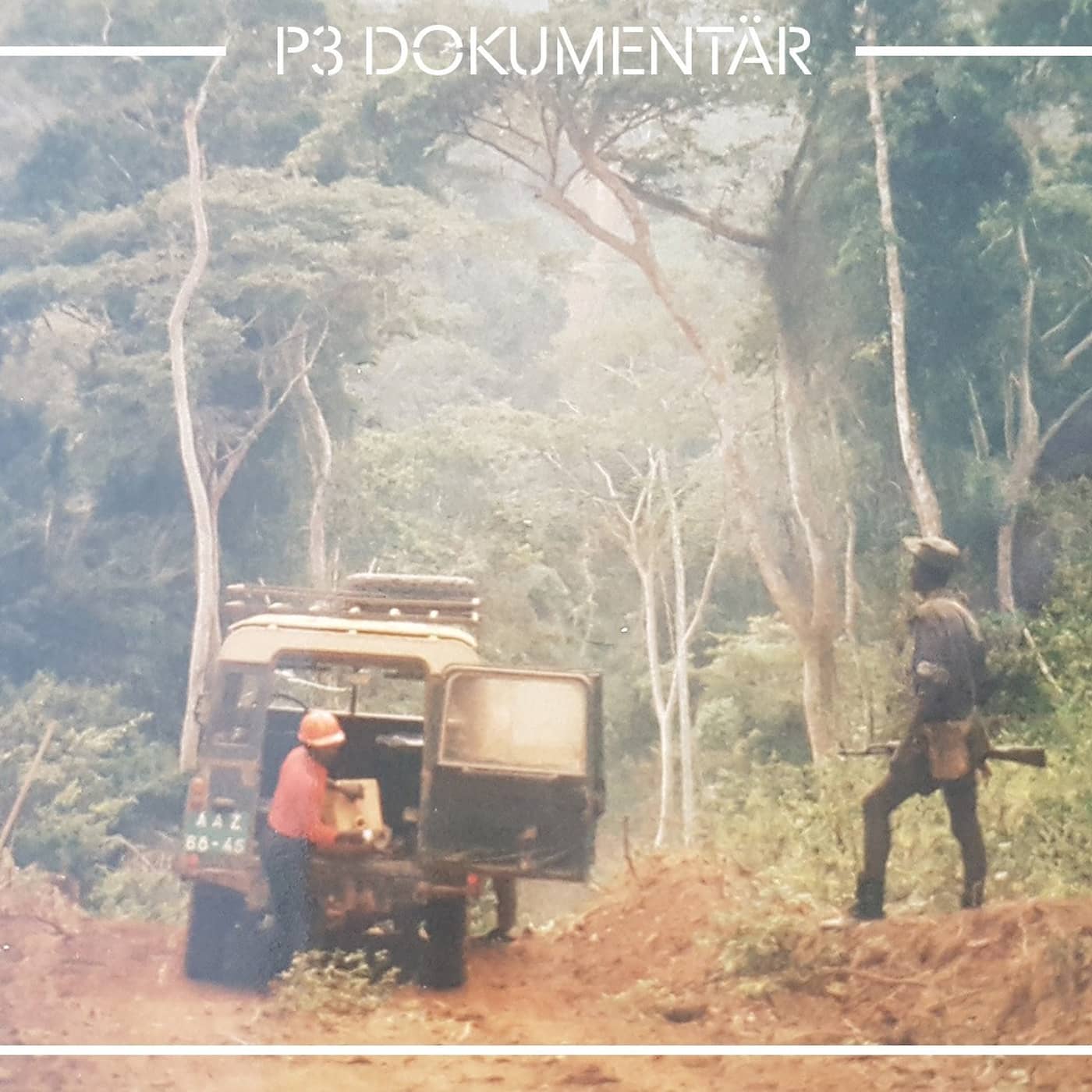 Kidnappningen i Angola artwork