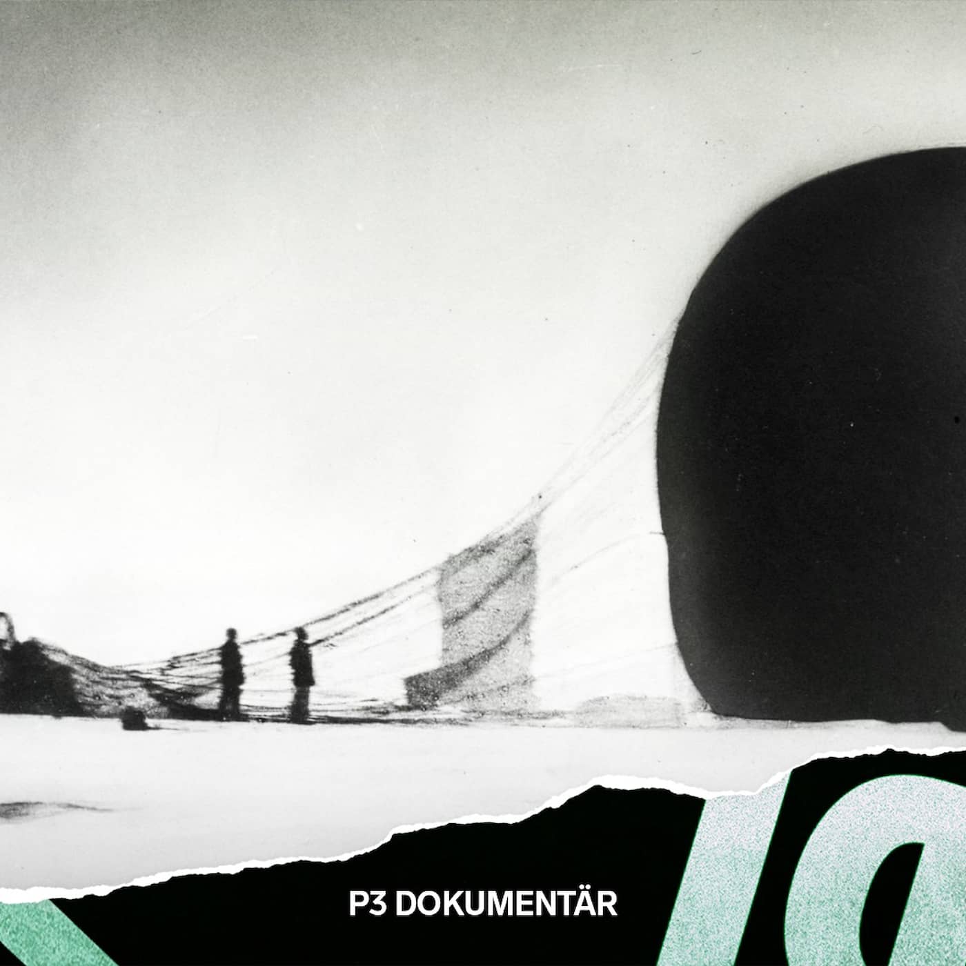 Den dödsdömda polarexpeditionen artwork