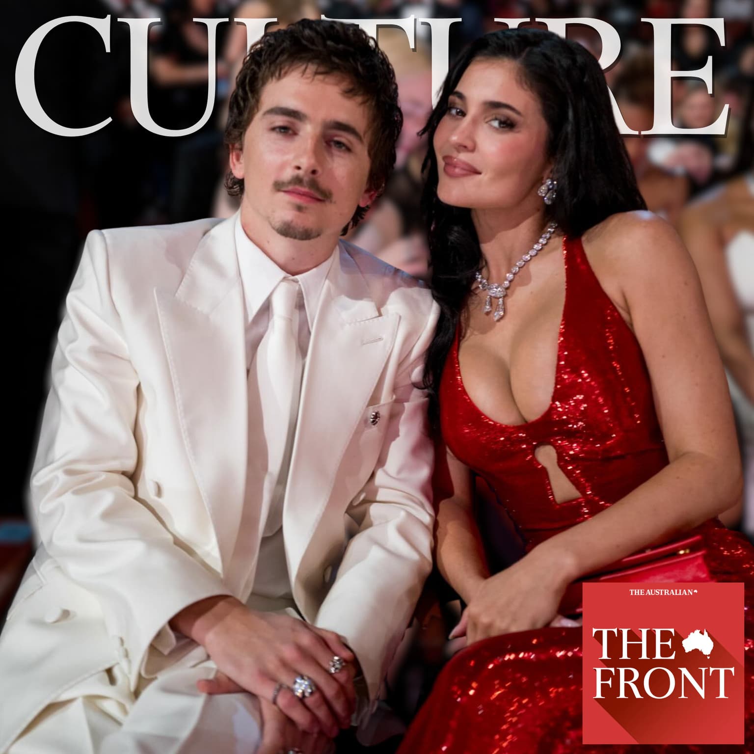 Timothee Chalamet is right about opera and ballet, isn't he? artwork