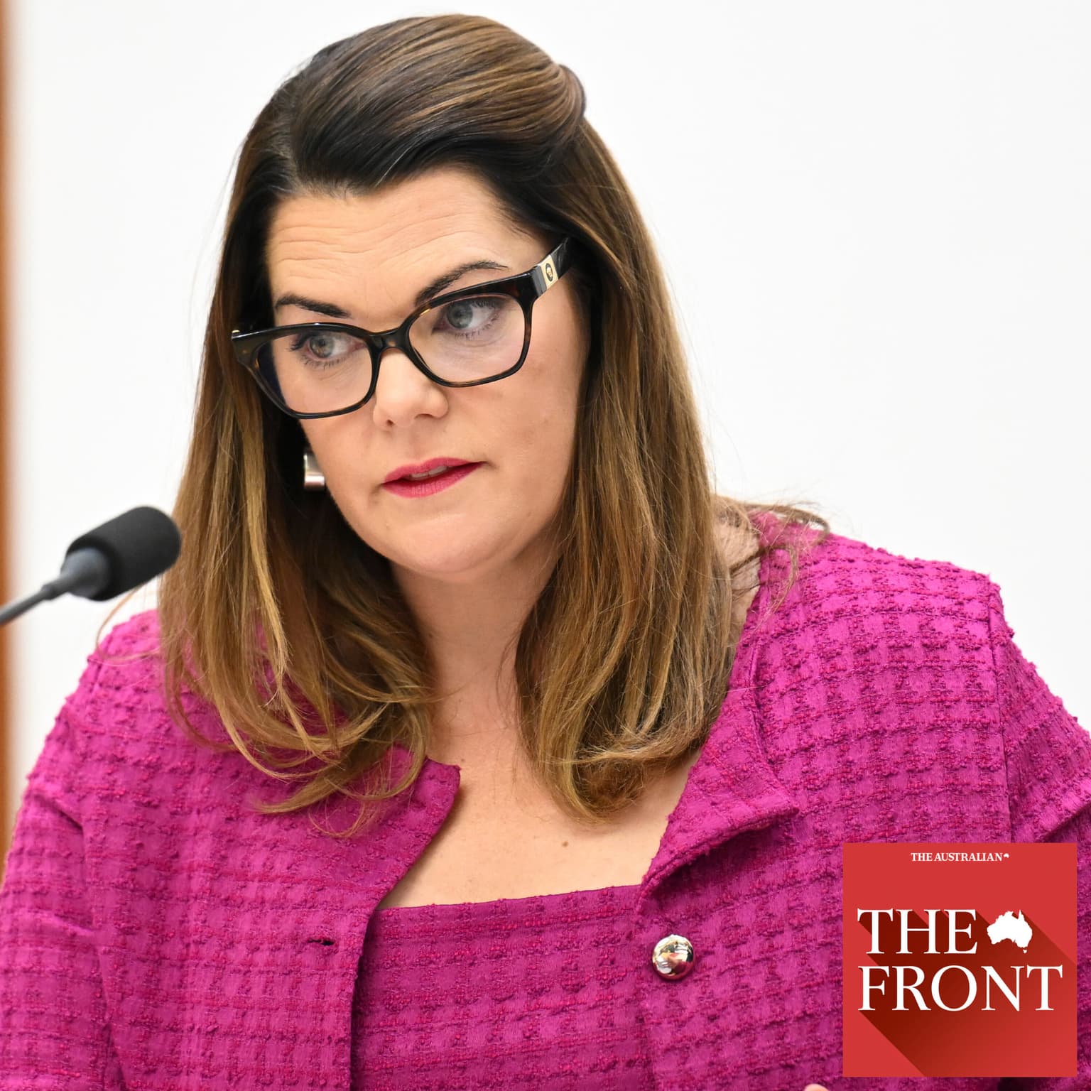 A Greens senator, her husband and 78 taxpayer-funded flights artwork