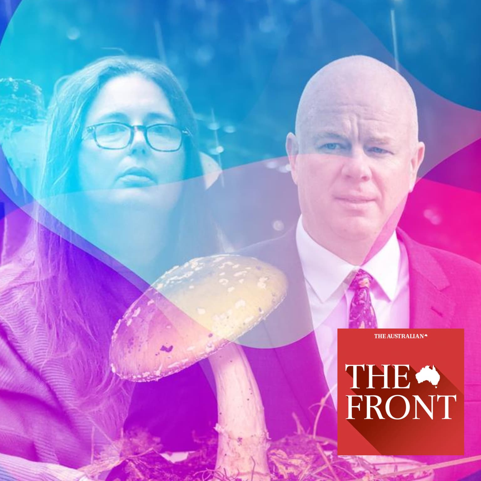 Mushroom clash: Simon Patterson’s courtroom confrontation with Erin’s lawyer artwork