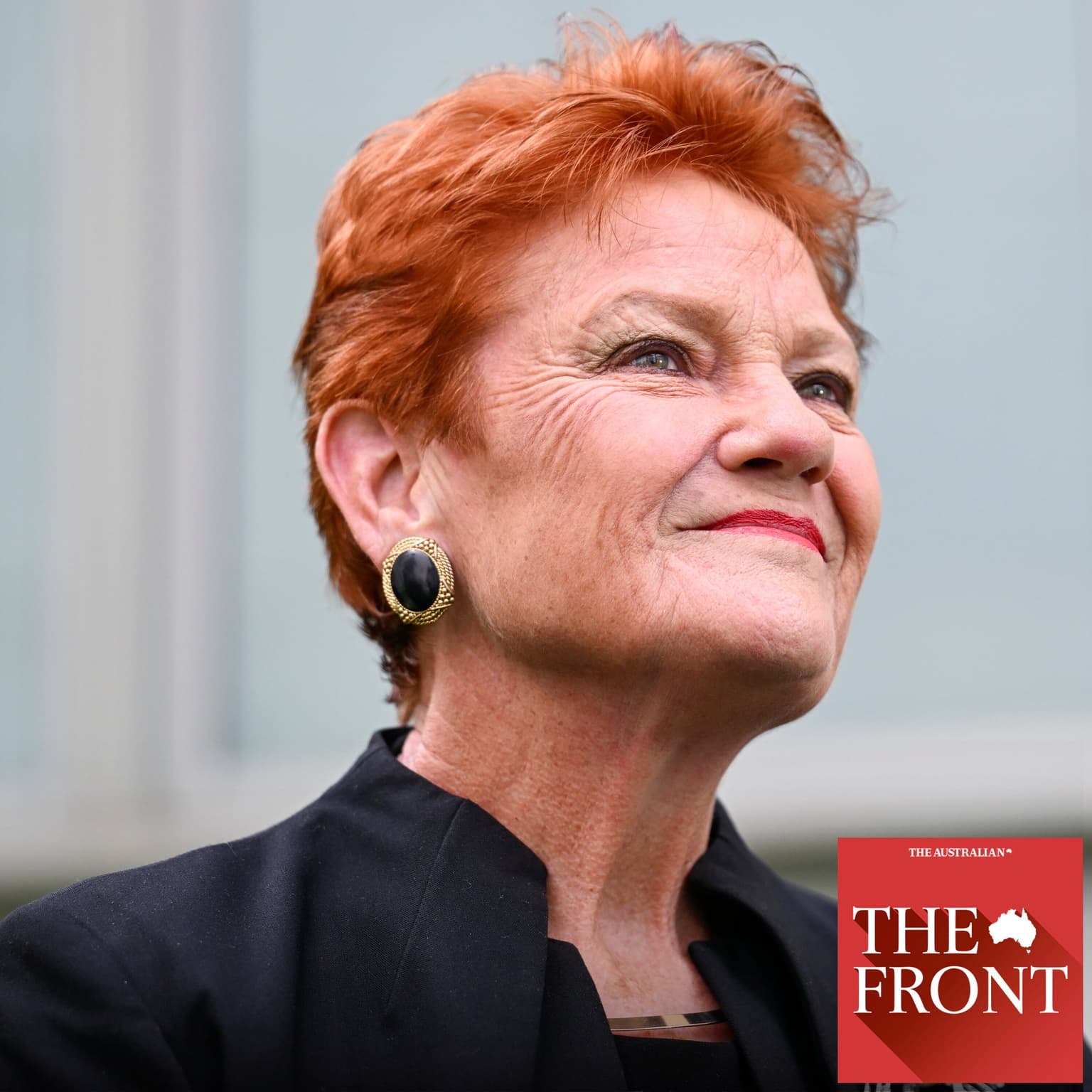How Pauline Hanson transformed herself artwork