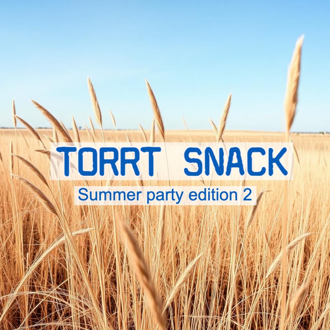 #2 Torrt snack Summer party edition 2 (manualer) artwork