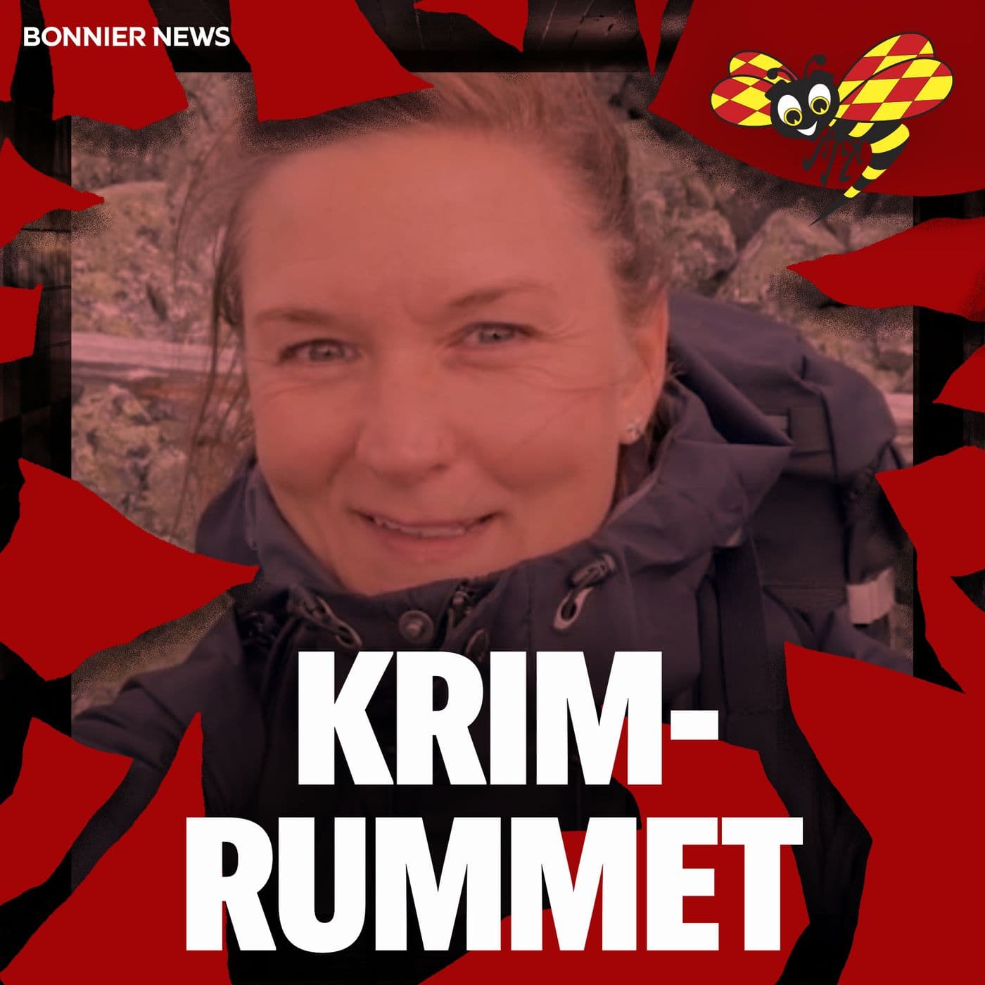 Mordet på Helena Löfgren artwork