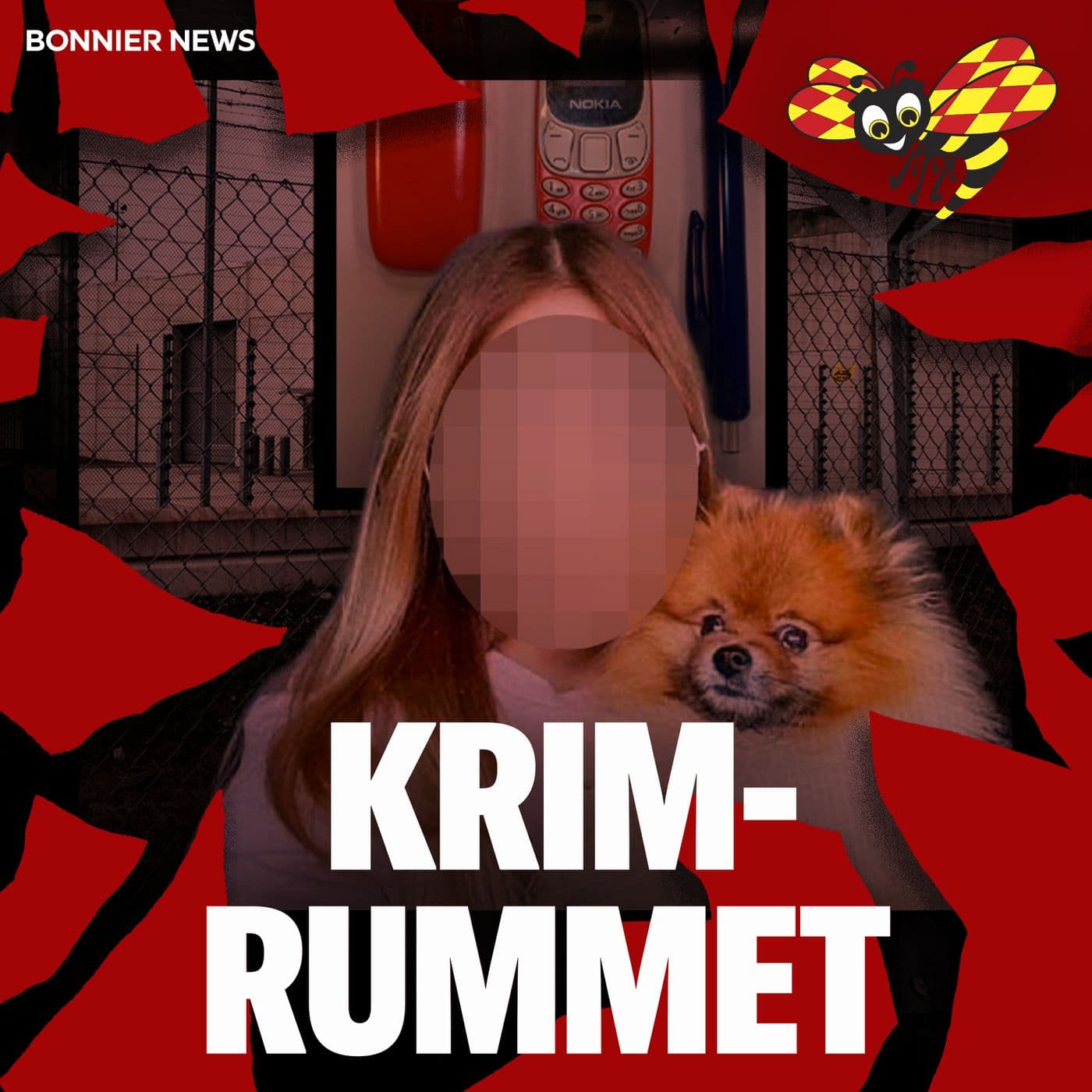 De korrupta kriminalvårdarna – smugglade i underlivet artwork