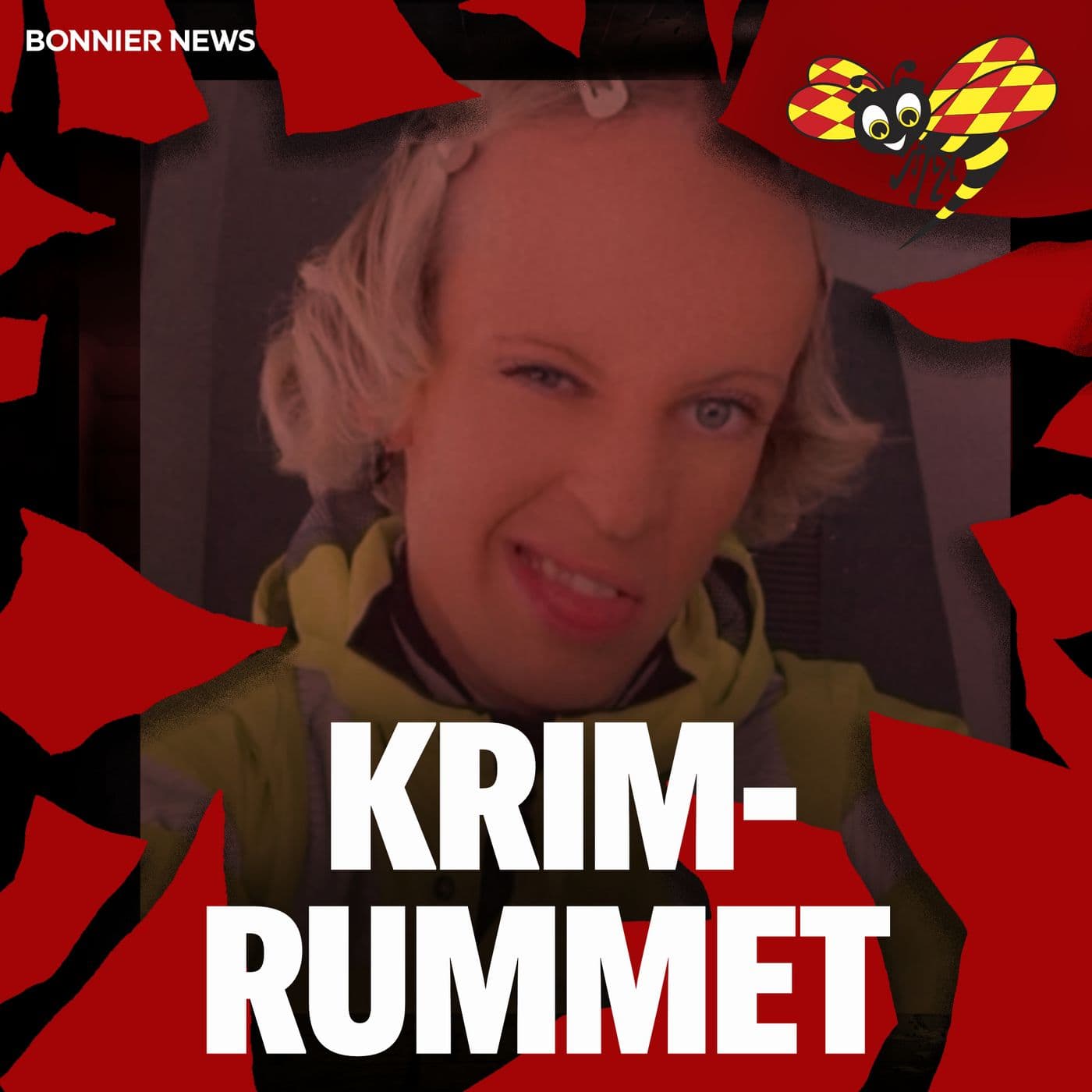 Mordet i Rönninge och misstänkte gärningsmannen Vilma Andersson artwork