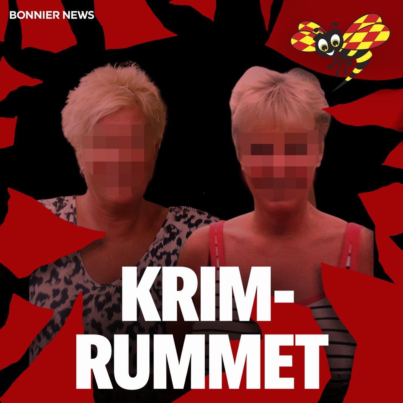 Arvsstriden – 60-åriga systrarna ville mörda sin pappa i Jönköping artwork