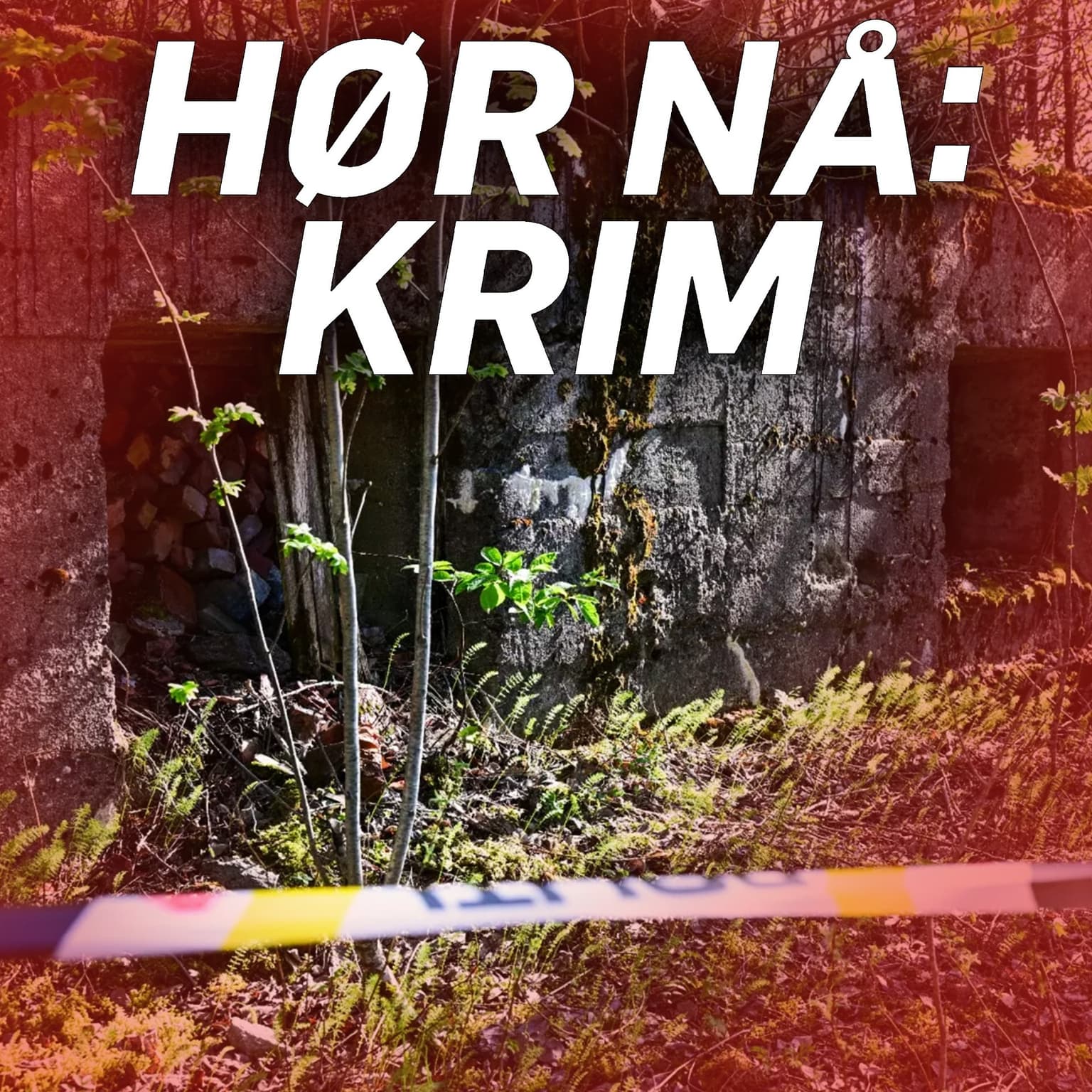 PST: Spionsiktet kineser hadde «tilhold i norsk bunker» artwork