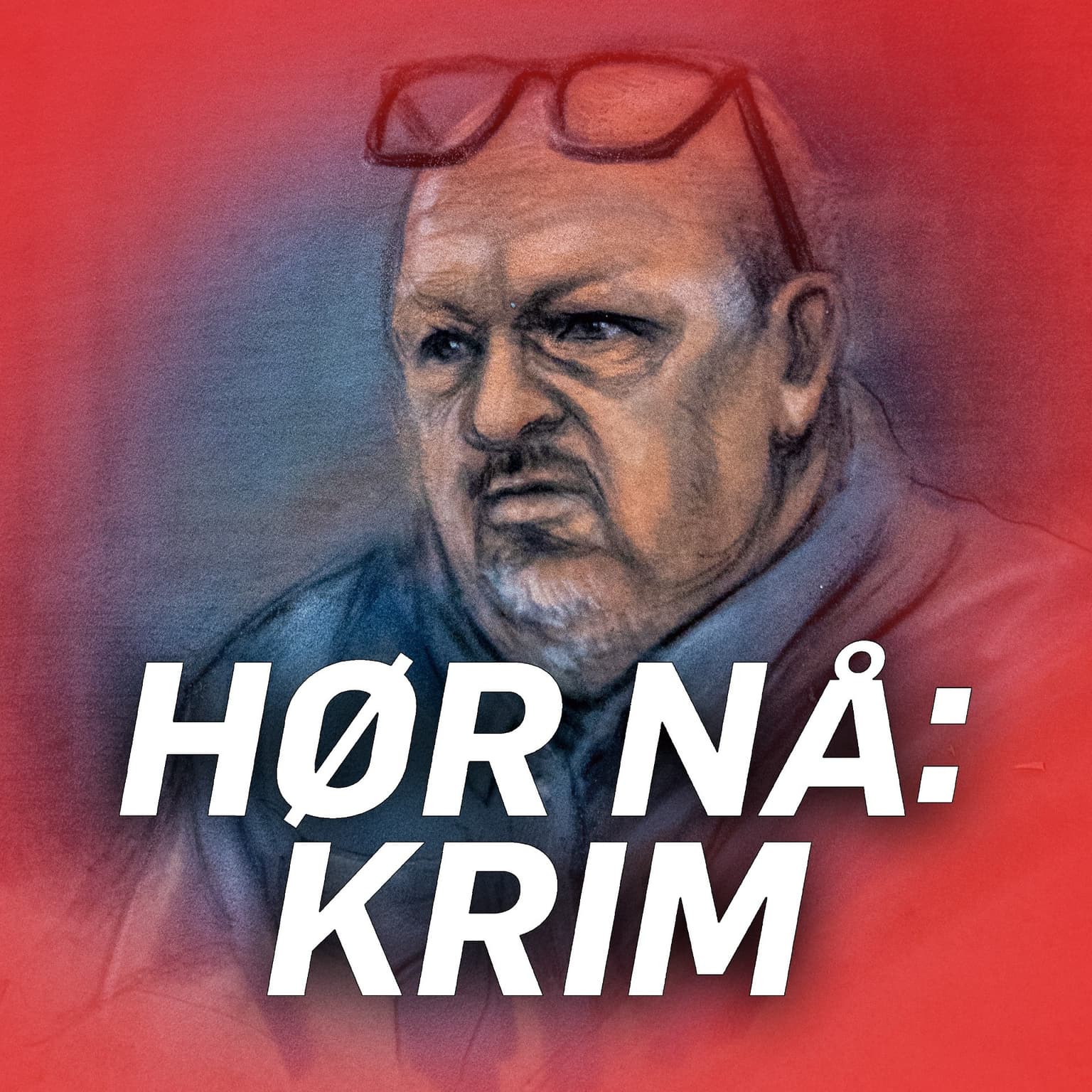 Wangen med innrømmelse i retten: - Sjuke ideer artwork