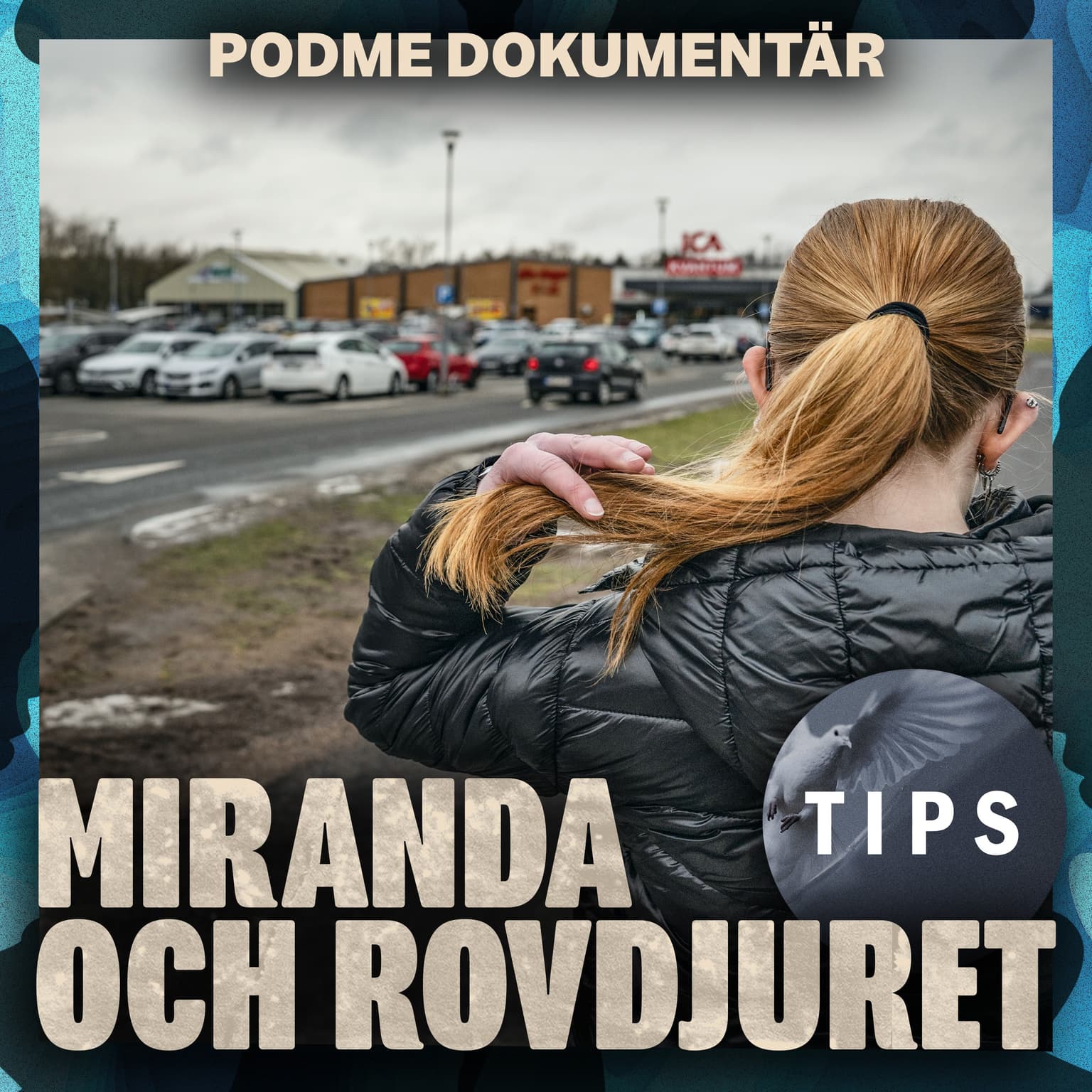 Miranda och Rovdjuret – Del 1: Flicka med riskfyllt beteende artwork