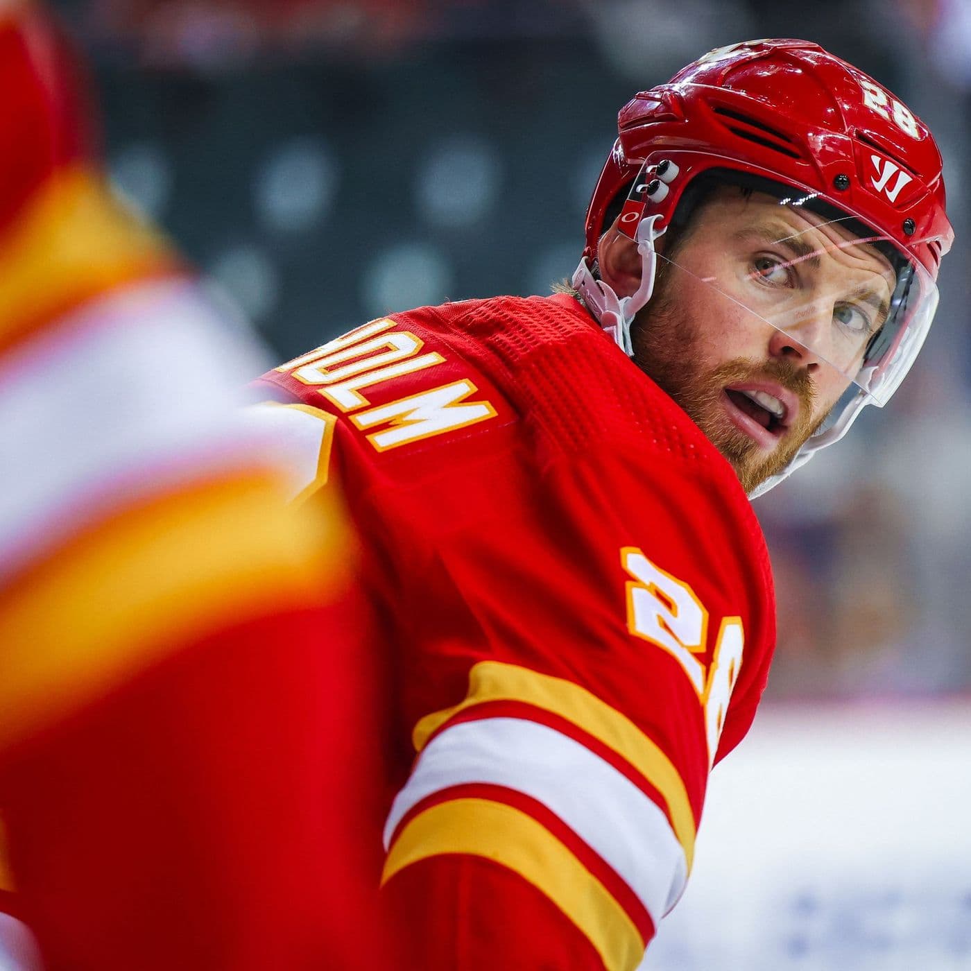 374. NHL-puls: Jakten på Elias Lindholm artwork