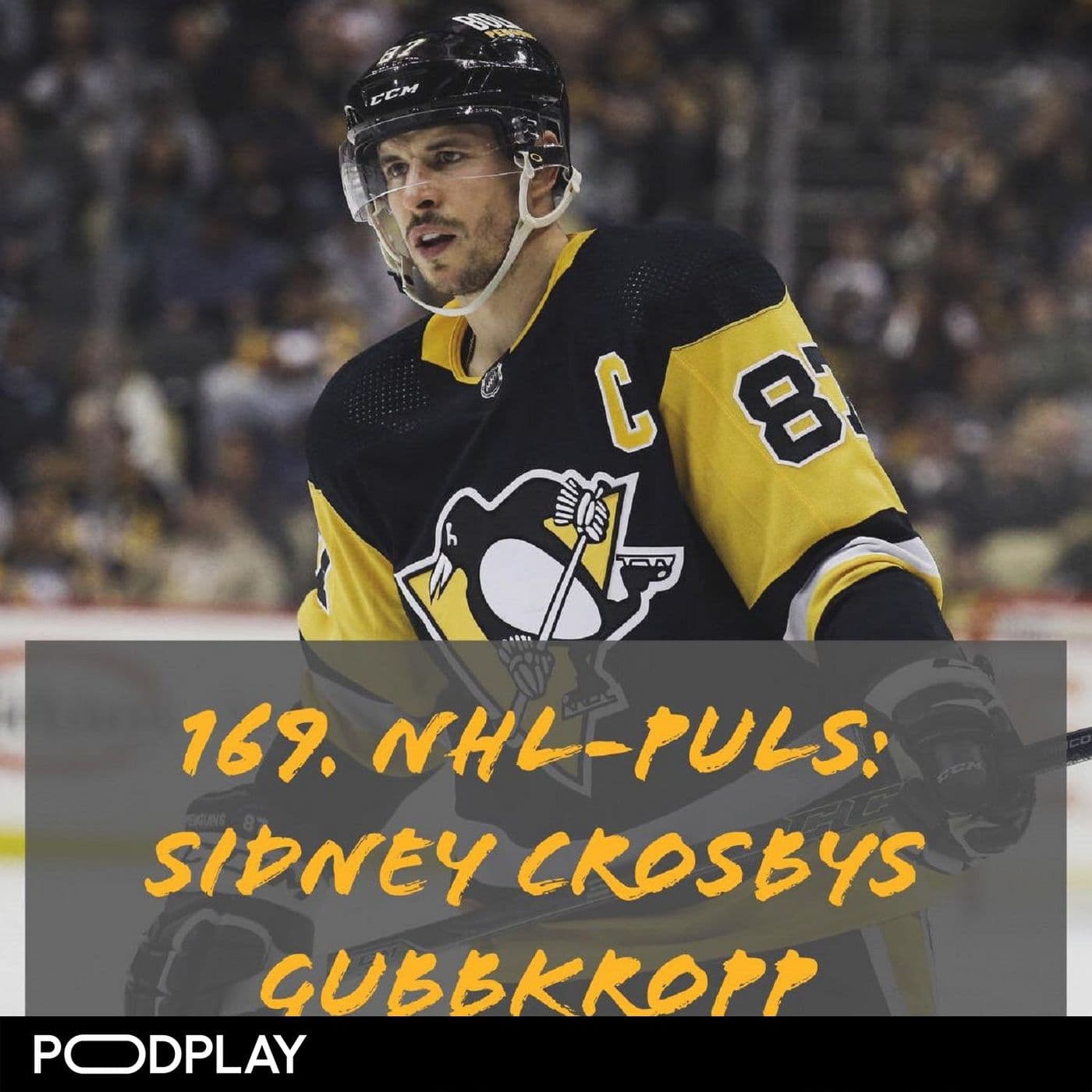 169. NHL-puls: Sidney Crosbys gubbkropp artwork