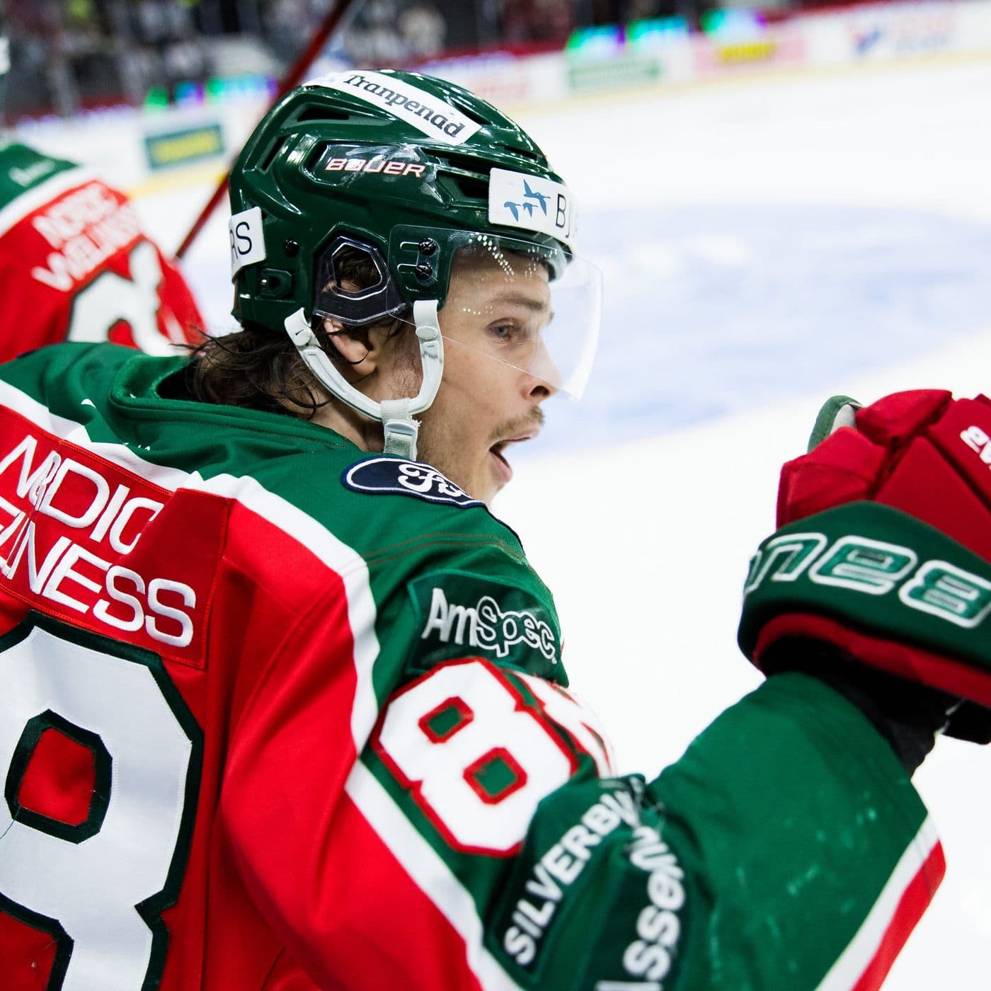 407. EXTRA: SHL:s William Nylander artwork