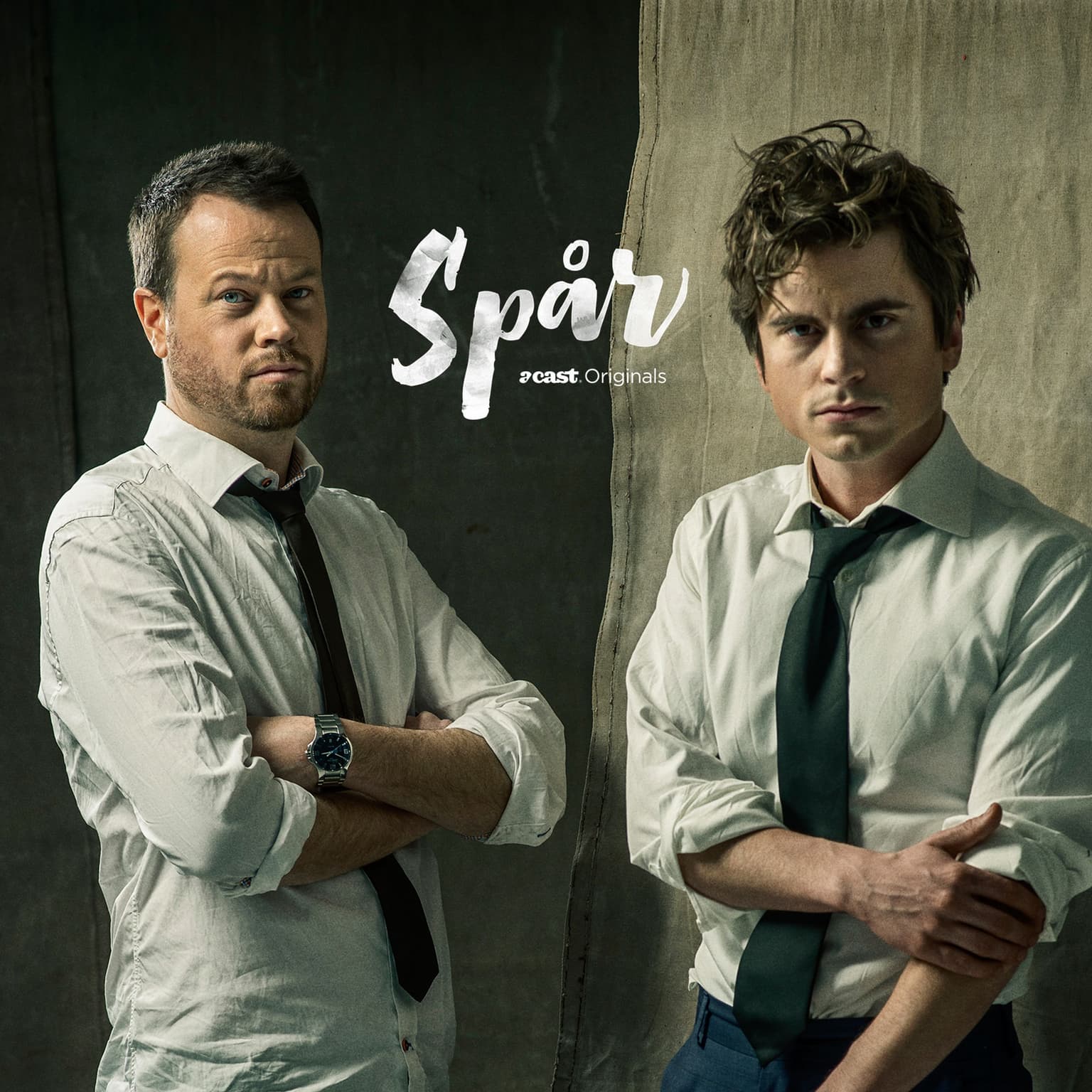 4. Kalamarksmordet - Kronvittnet synas artwork