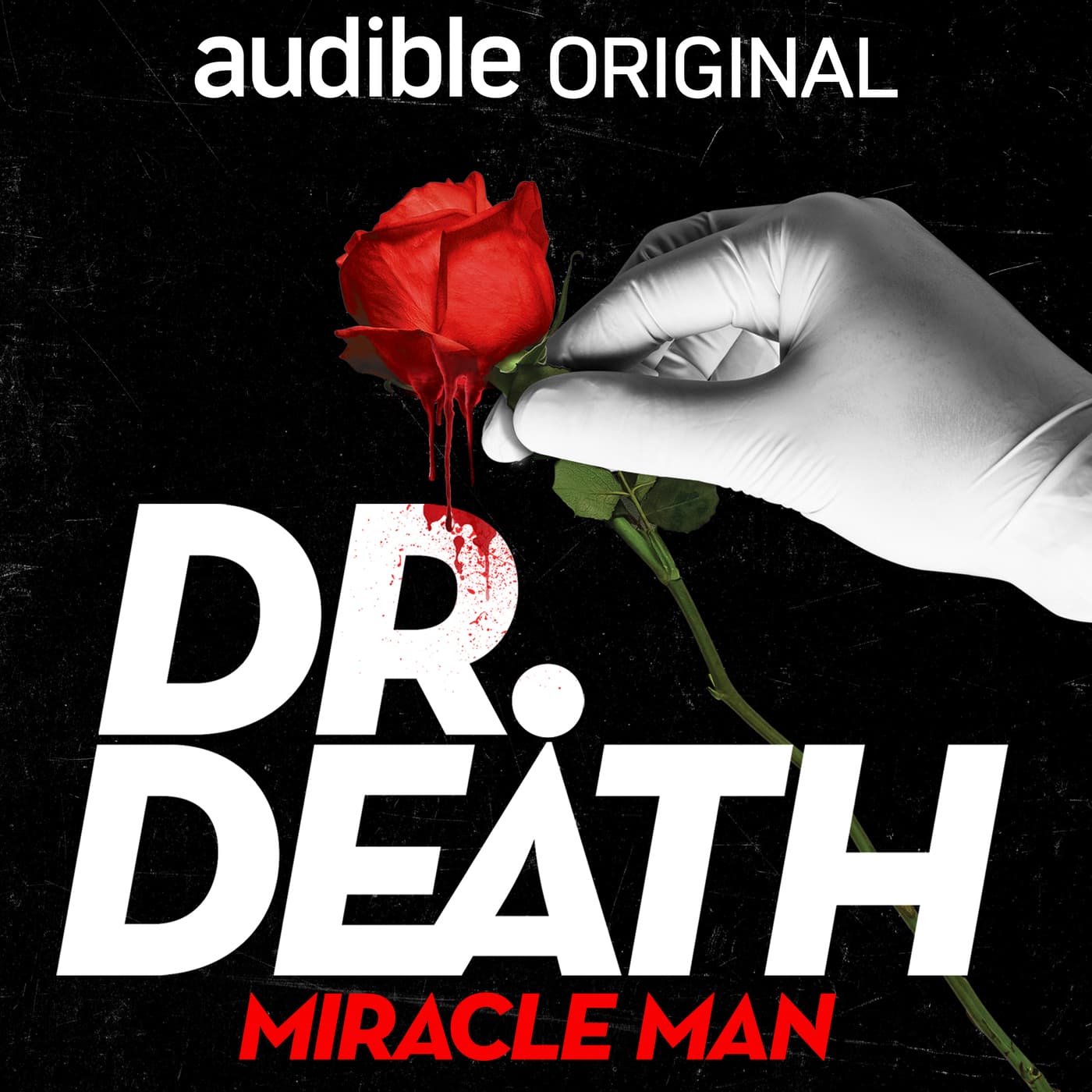 Miracle Man | Head Over Heels | S3-E1 artwork