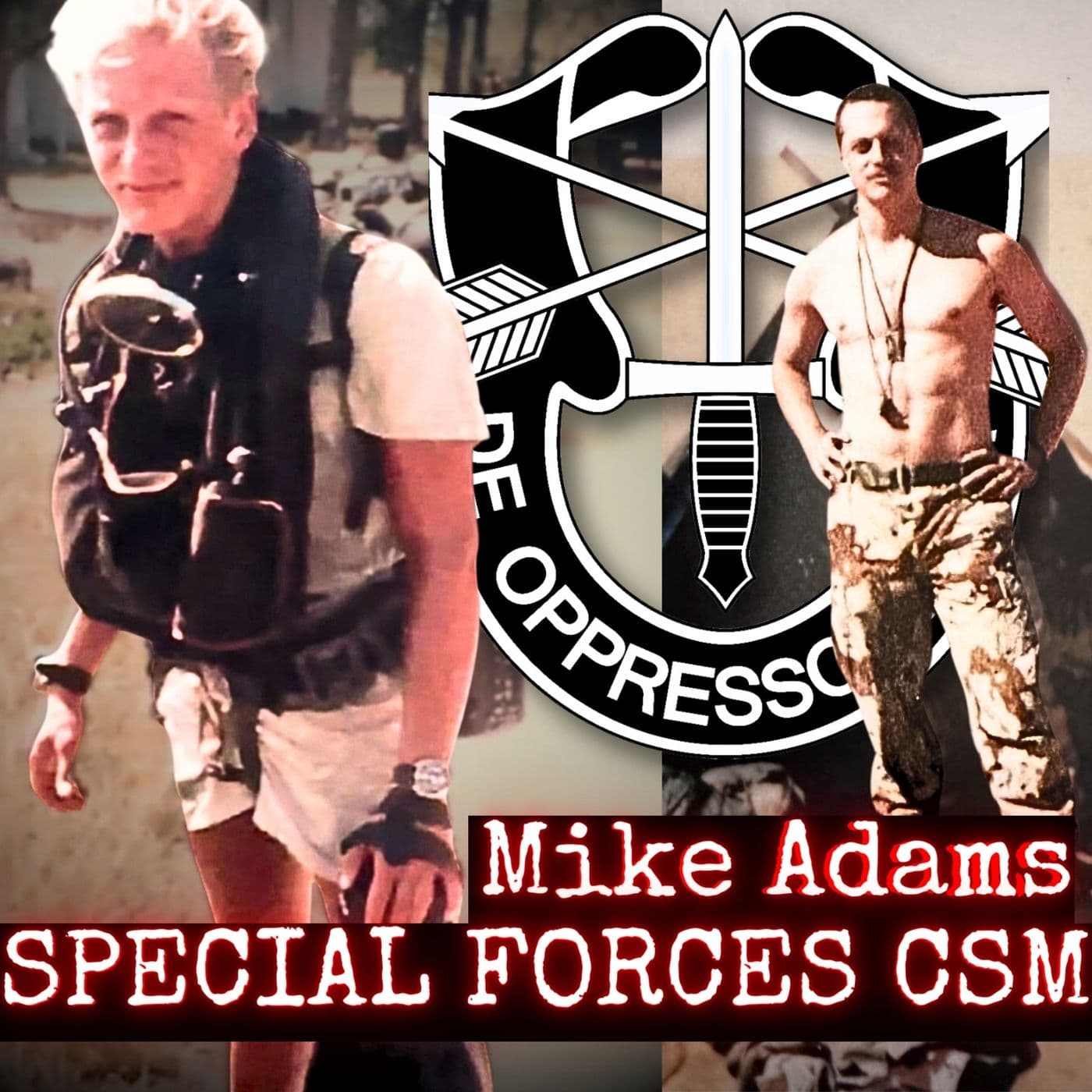 SPECIAL FORCES COMMAND SERGEANT MAJOR | Mike Adams | Ep. 277 artwork