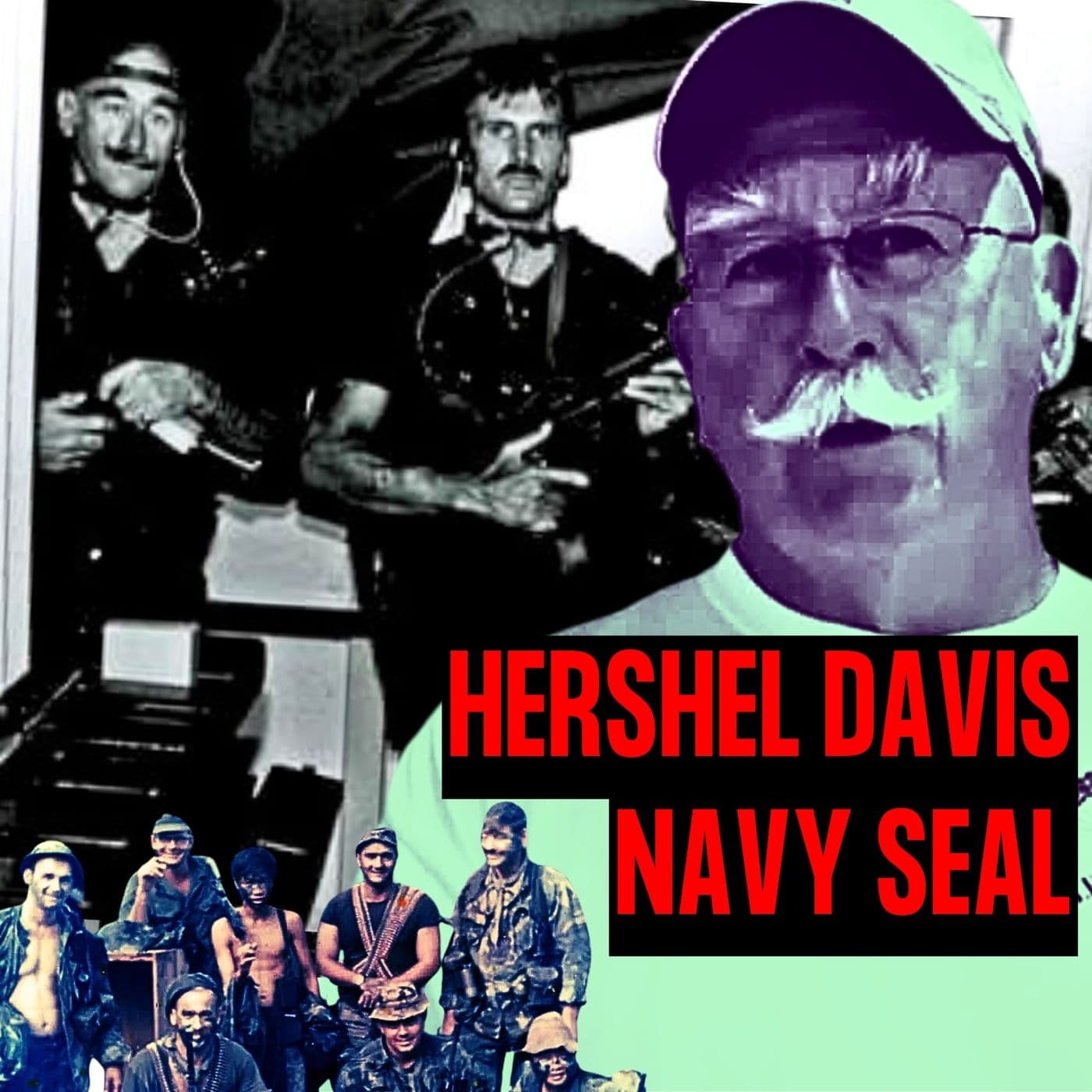 Navy SEAL in Vietnam & Shaping the SEAL Teams | Master Chief Hershel Davis | Ep. 267 artwork