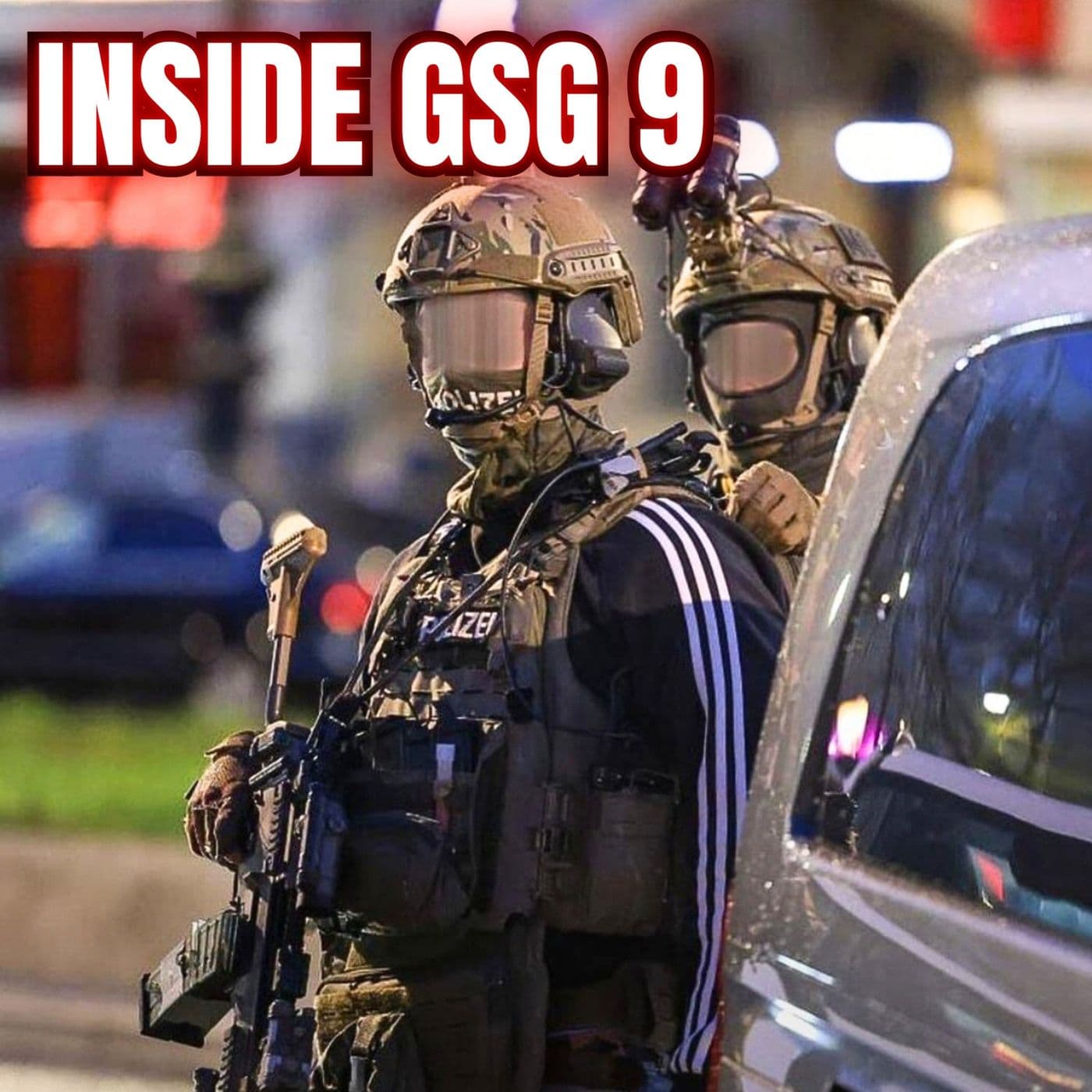 Inside GSG 9 (Germany's Tier 1 Counter Terrorist Unit) | Martin Herzog | Ep. 383 artwork