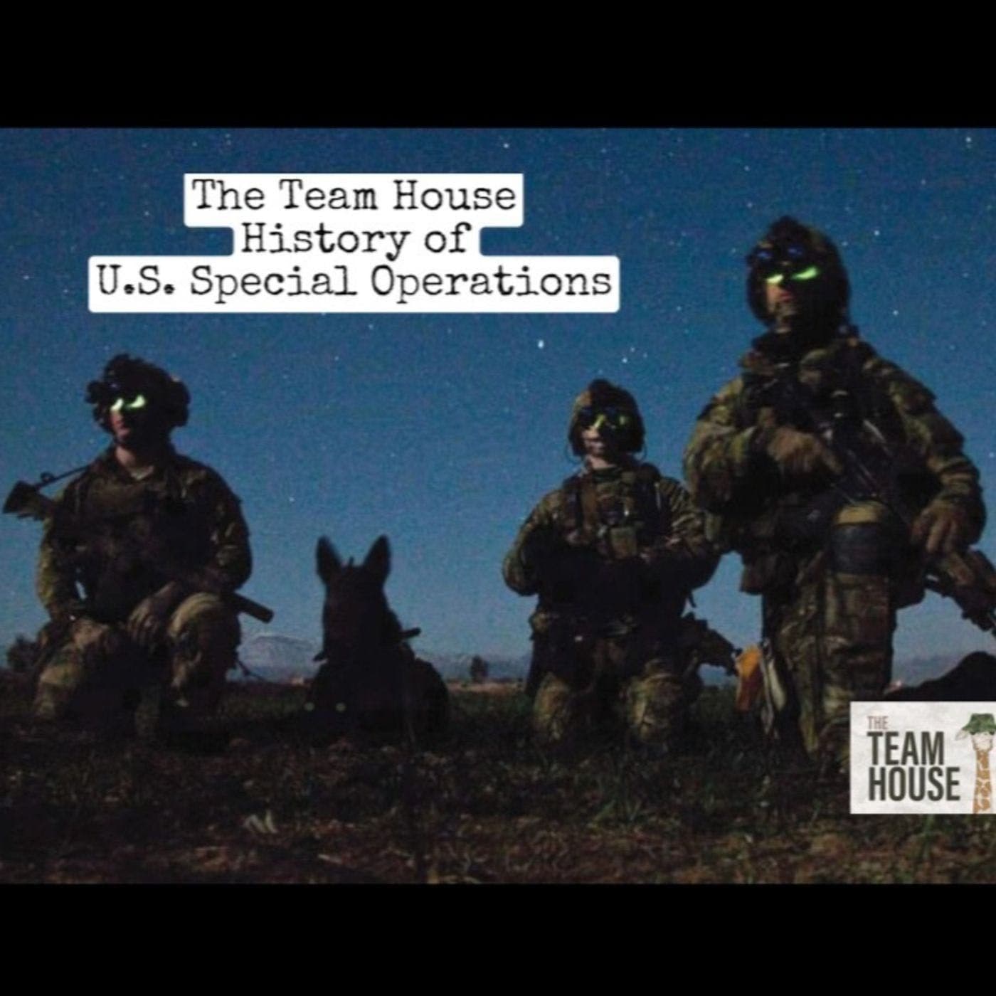 History of U.S. Special Operations artwork