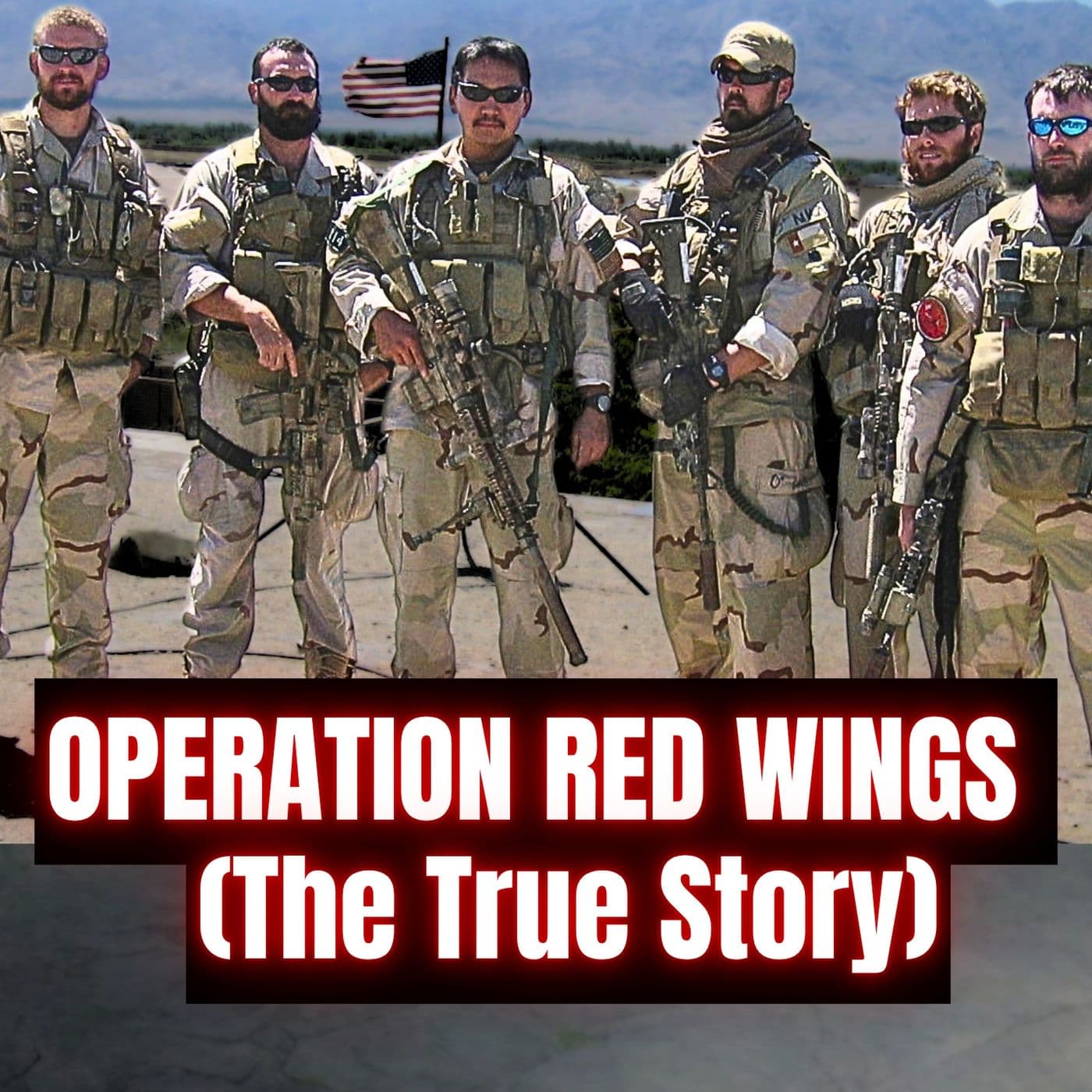 Operation Red Wings: What Actually Happened | Ed Darack & Ross Schneiderman | Ep. 404 artwork