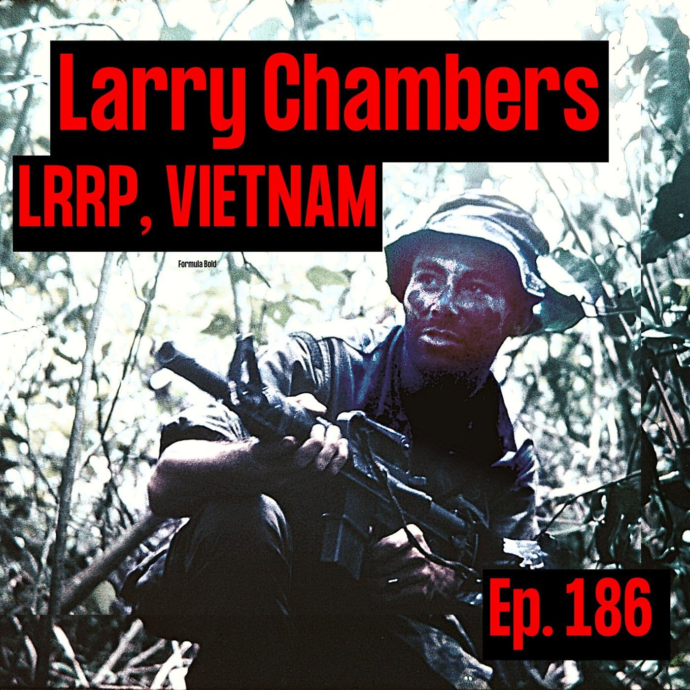 Long Range Recon Patrol (LRRP) in Vietnam | Larry Chambers | Ep. 186 artwork