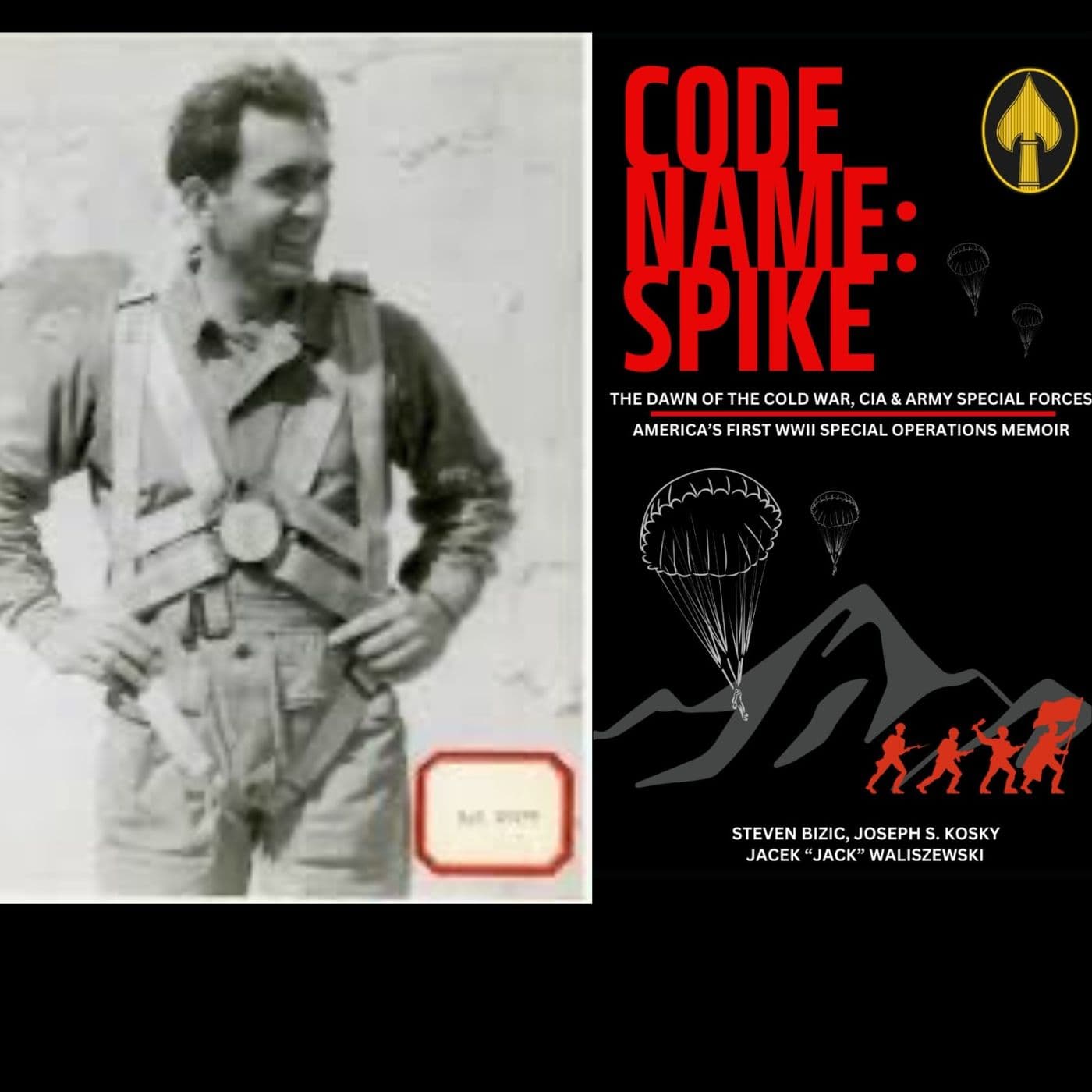 The Untold Story of OSS Agent Steve Bizic | Jacek Waliszewski | Ep. 330 artwork