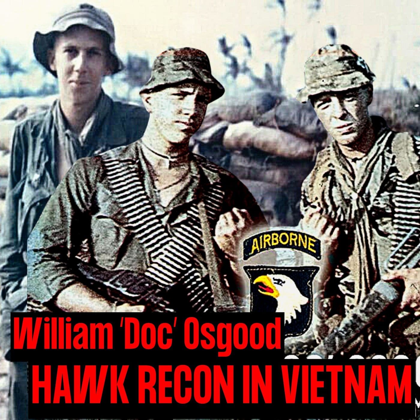 Hawk Recon Team in Vietnam | William "Doc" Osgood | Ep. 236 artwork