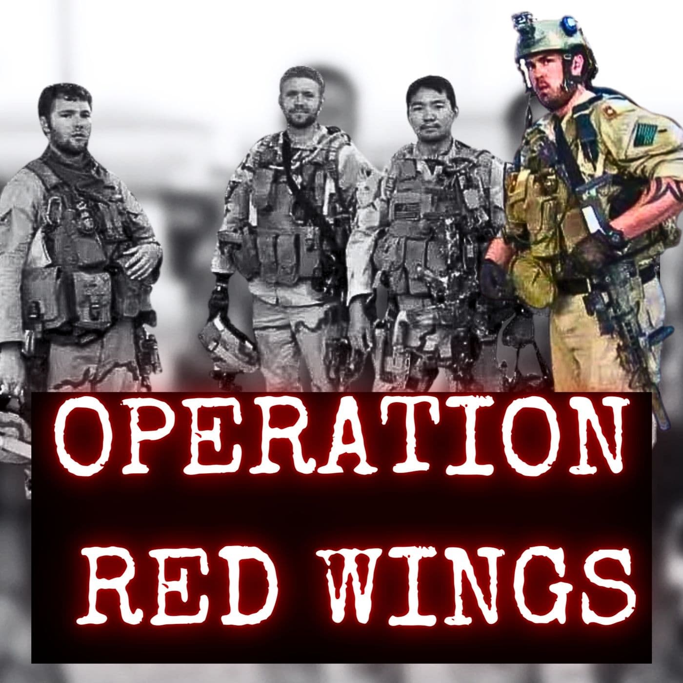 Operation Red Wings & Saving Marcus Luttrell (From Different Perspectives) artwork