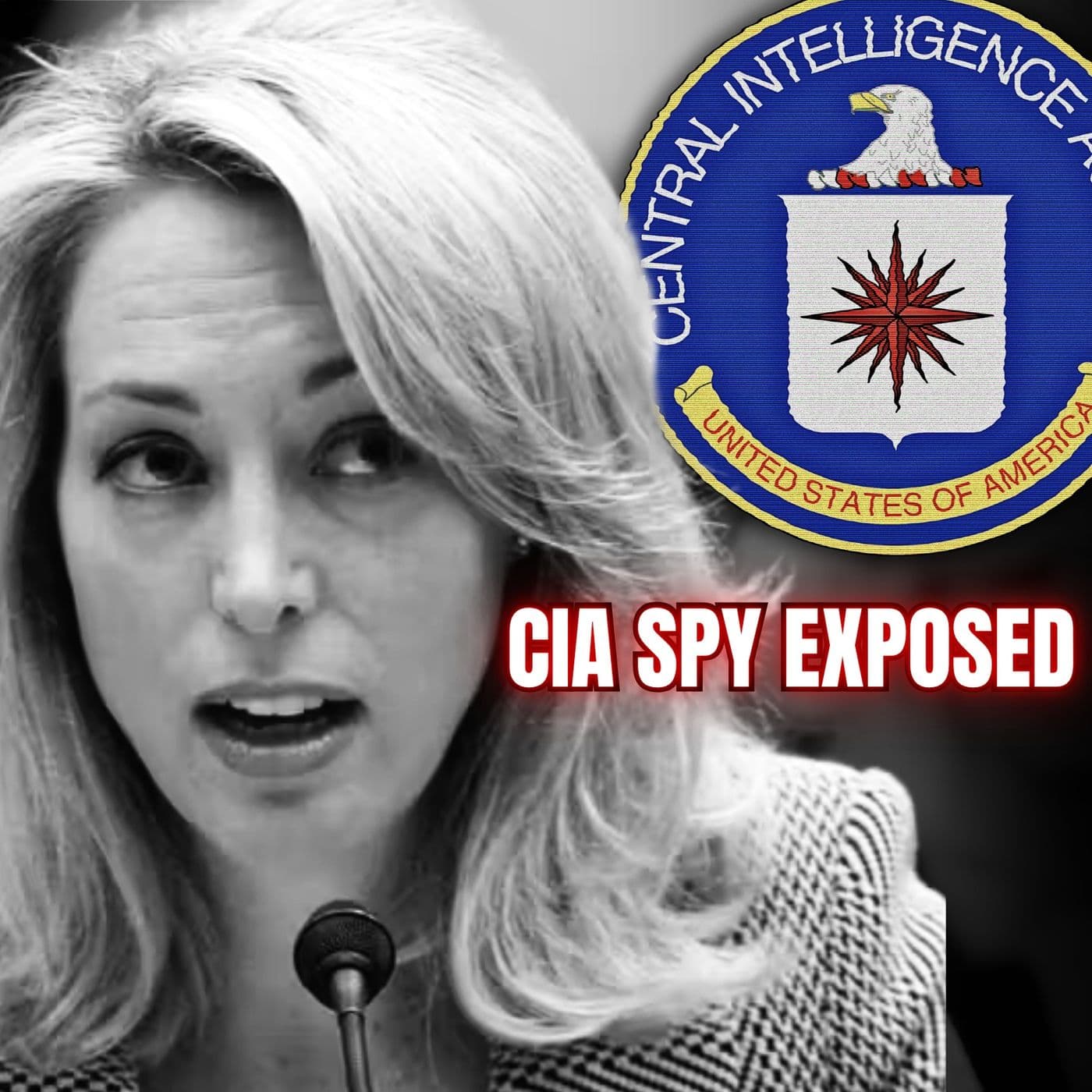 Fair Game: A Spy Exposed | Valerie Plame | Ep. 350 artwork