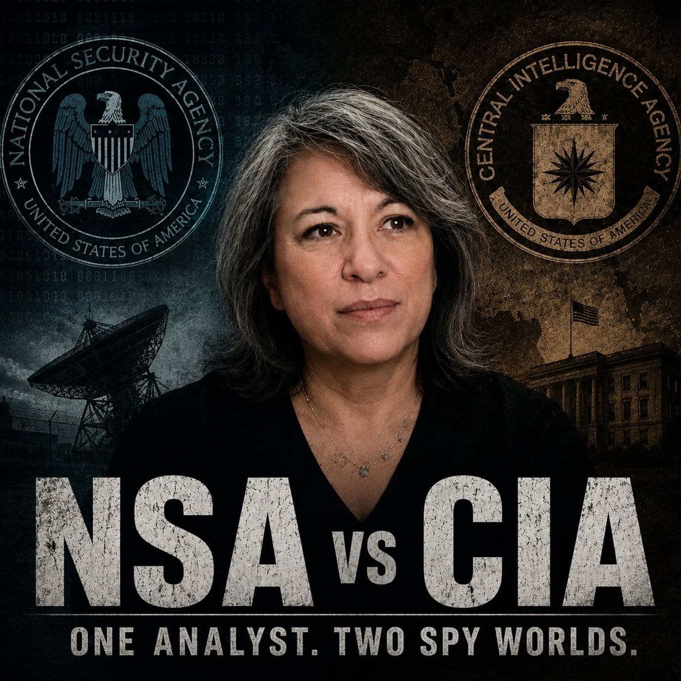 NSA vs CIA: A Former Analyst Explains the Difference | Alma Katsu artwork