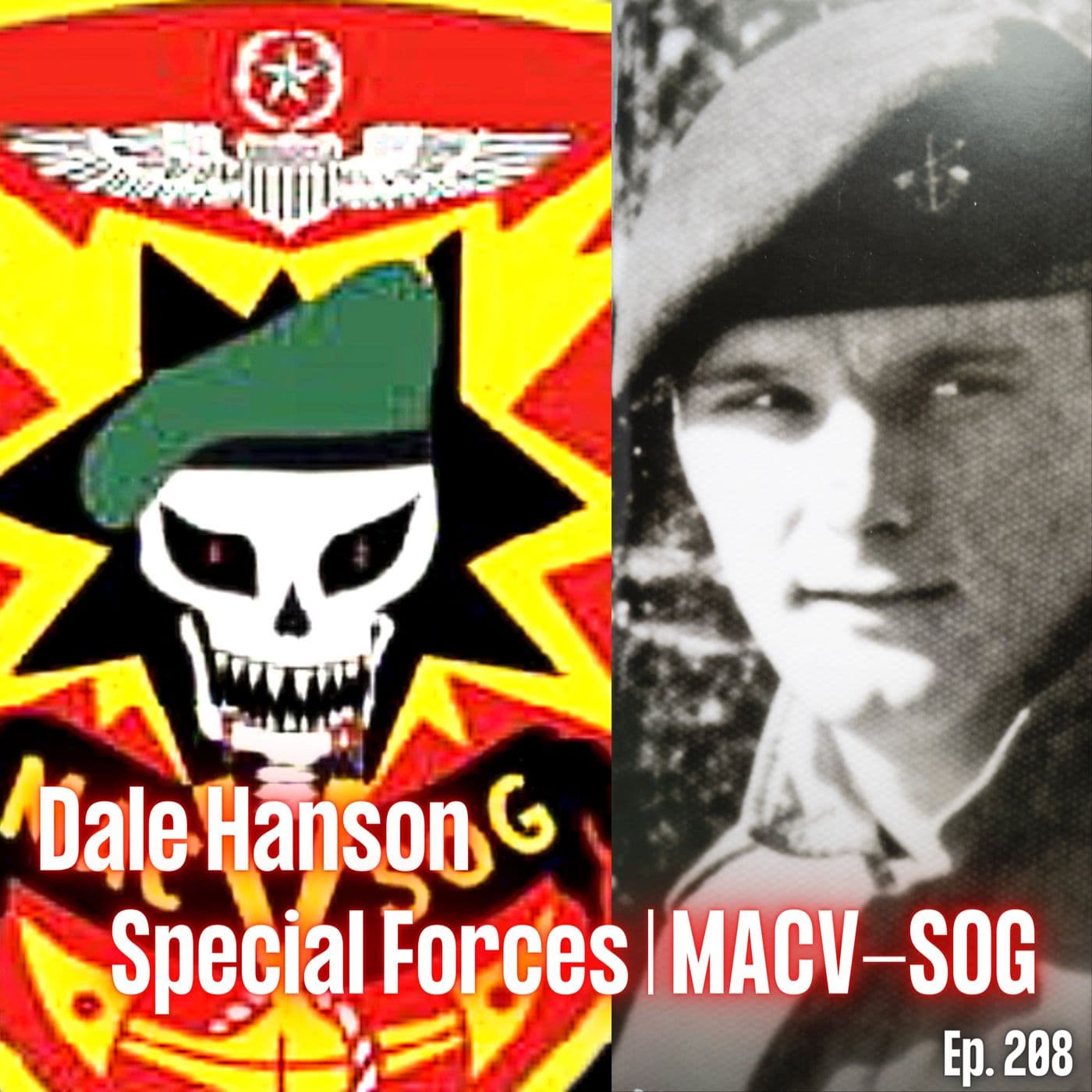 From Minnesota to Vietnam with MACV-SOG | Dale Hanson | Ep. 208 artwork