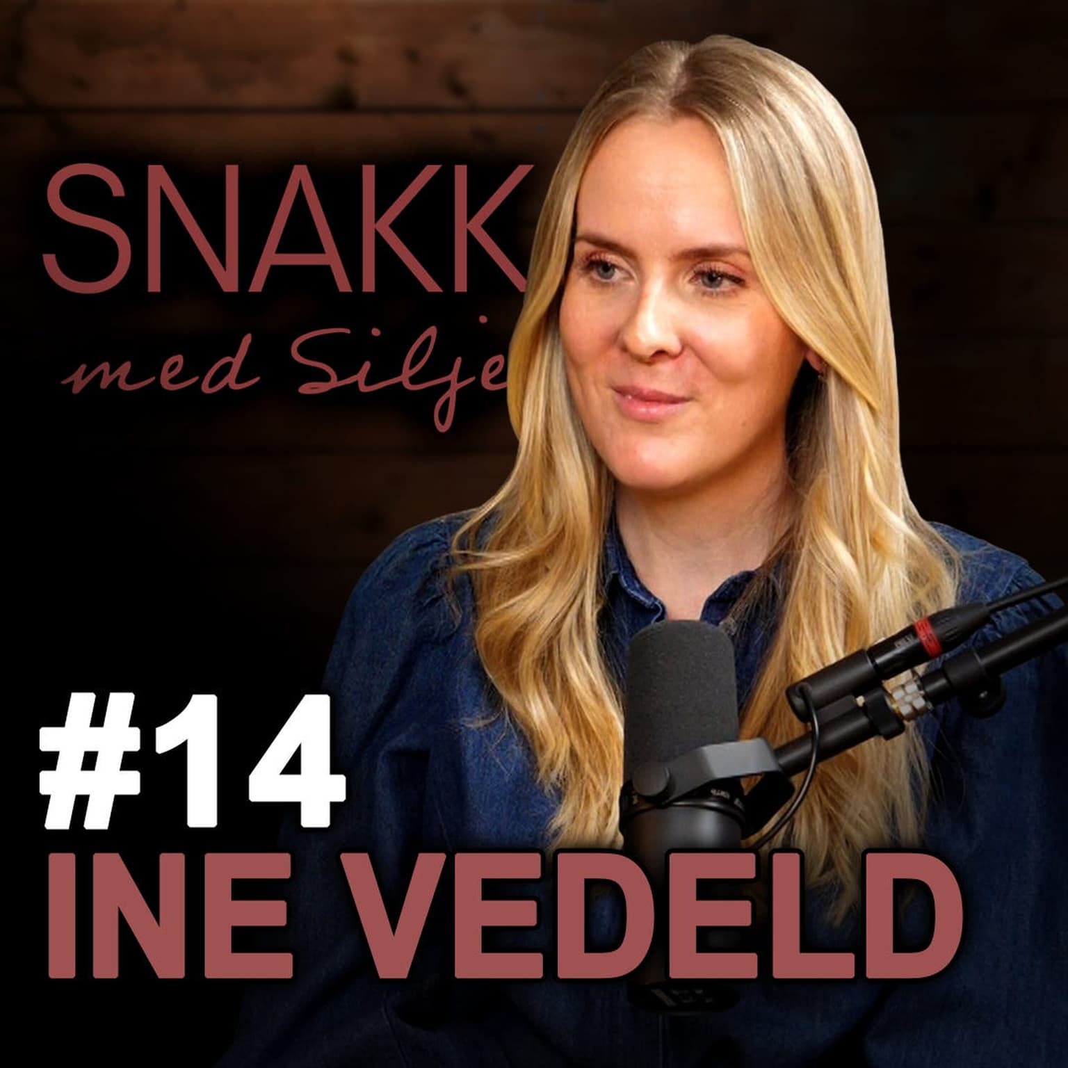 SmS #14 Ine Vedeld om å ha en funksjonsnedsettelse, bli mistrodd av helsevesenet og fordommer artwork