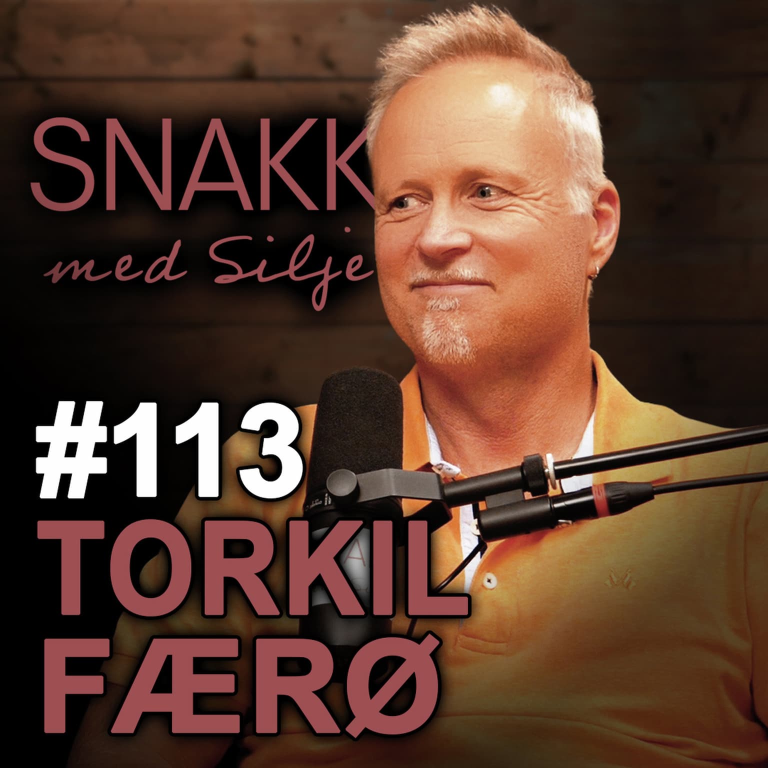 SmS #113 Torkil Færø | Derfor mener han at vi har misforstått sola artwork
