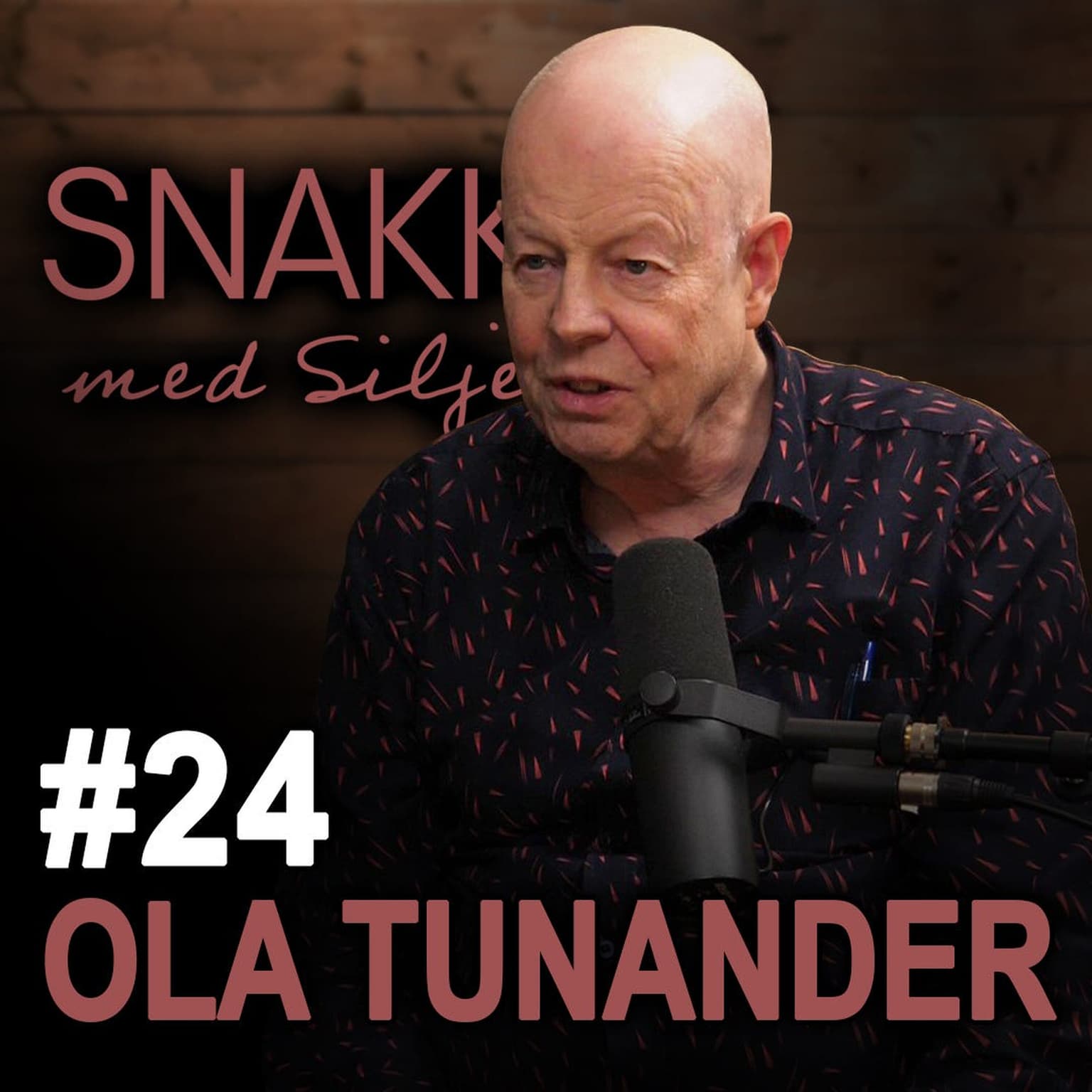 SmS#24 Ola Tunander om amerikanske operasjoner i Europa, psykologiske operasjoner, sensur, propaganda og krigen i Ukraina artwork