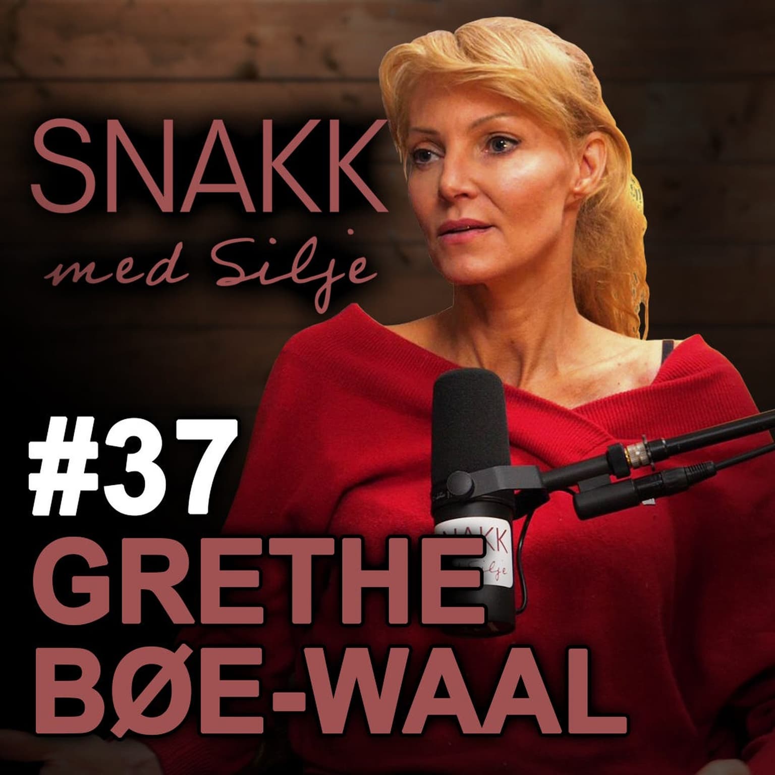 SmS #37 Grethe Bøe om det militærindustrielle kompleks og totalitære trekk i psykiatri og barnevern artwork