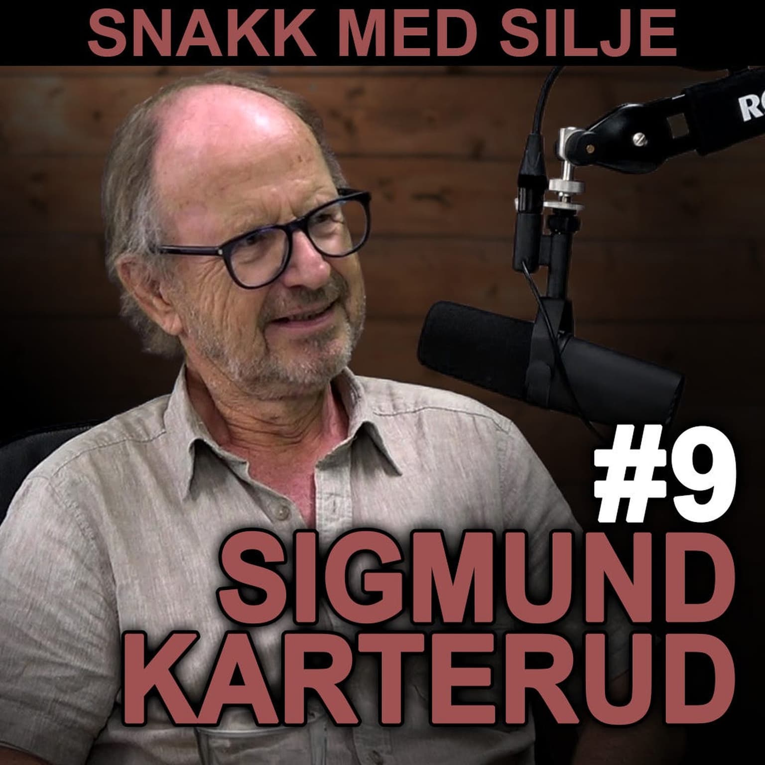 SmS #9 Sigmund Karterud om personlighetsforstyrrelser, selvet, pilleskam og gruppeterapi artwork